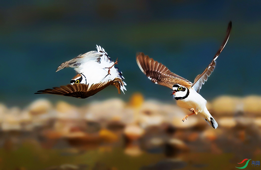 A56I7607 (2) ����.jpg