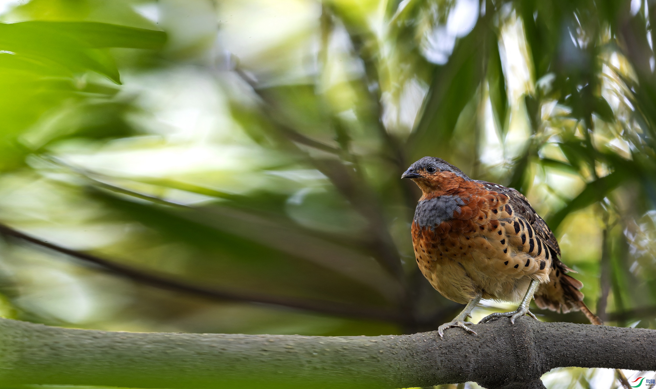 ������ (169)-1.jpg