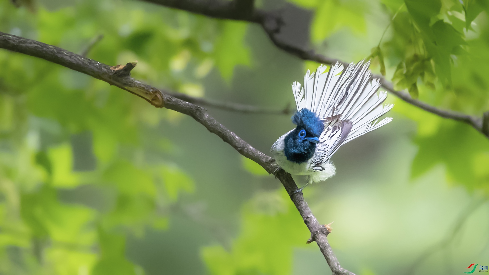 _DSC7870 ����.jpg