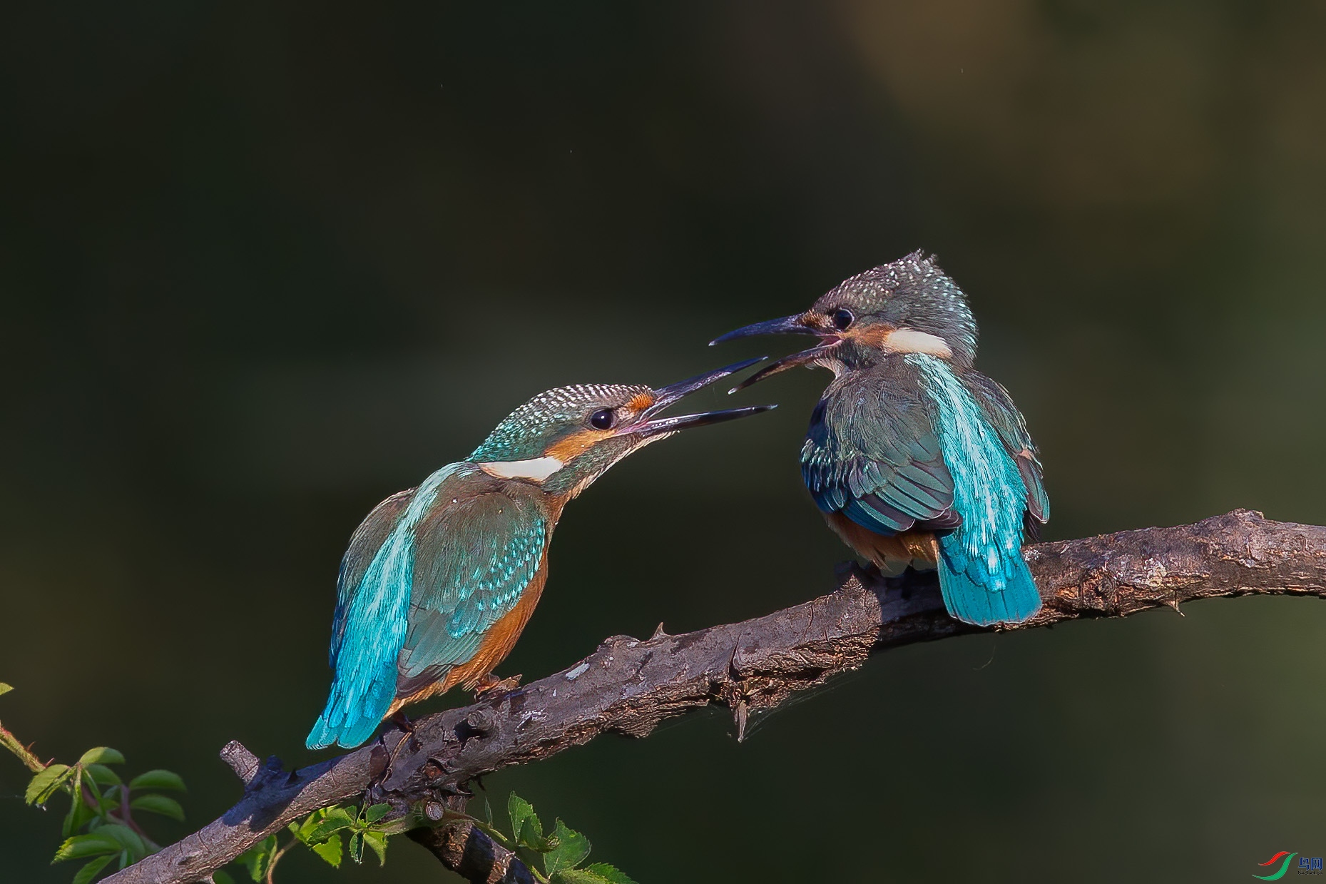 EL0T0007 ����.jpg