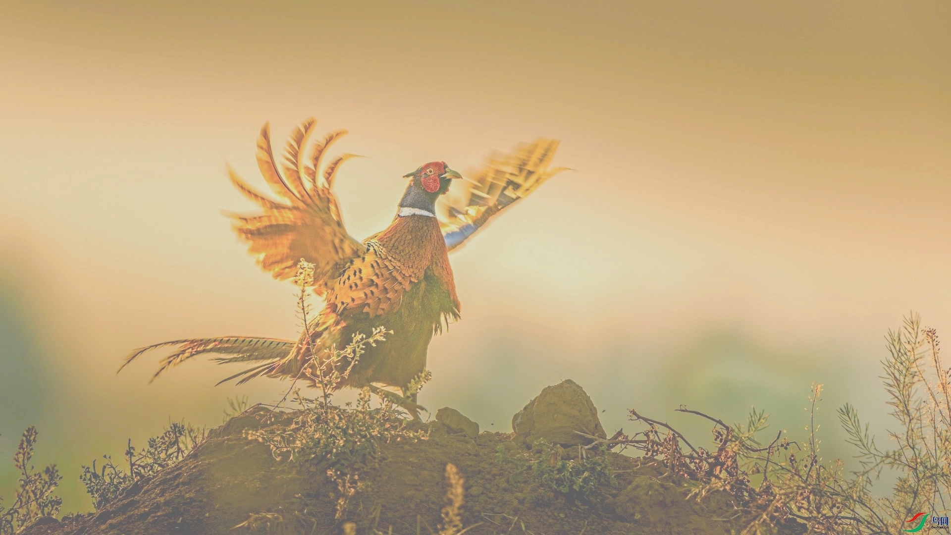 1_XXI4261 ����-1.jpeg