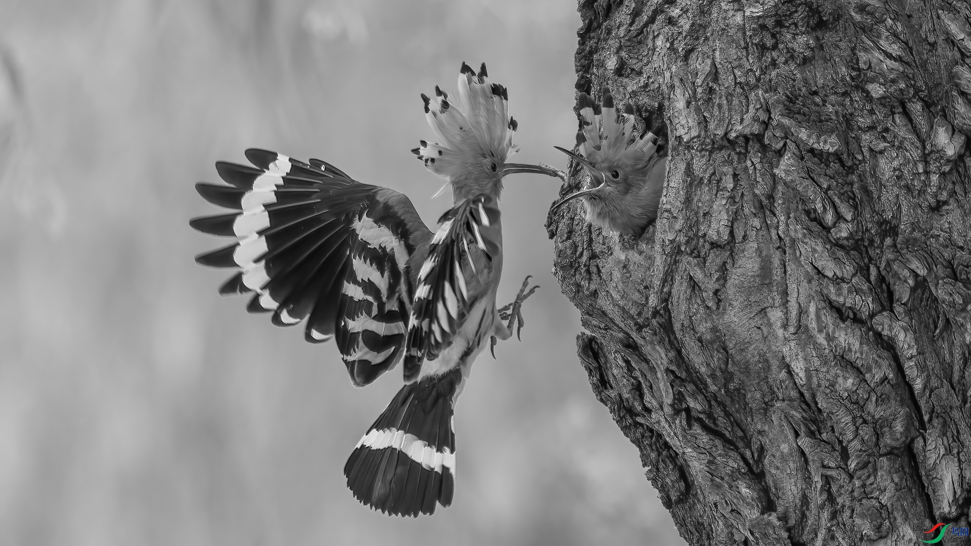 EV3W3538-�༭ (2).jpg