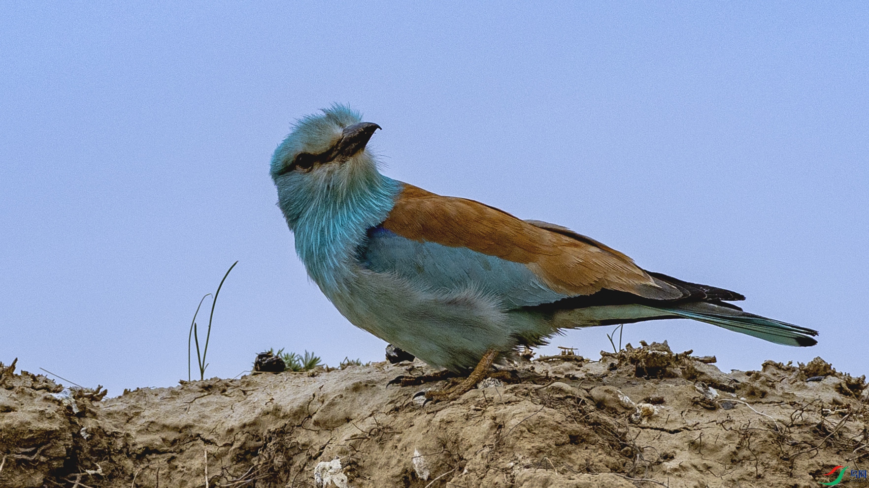 4F8A0328.jpg