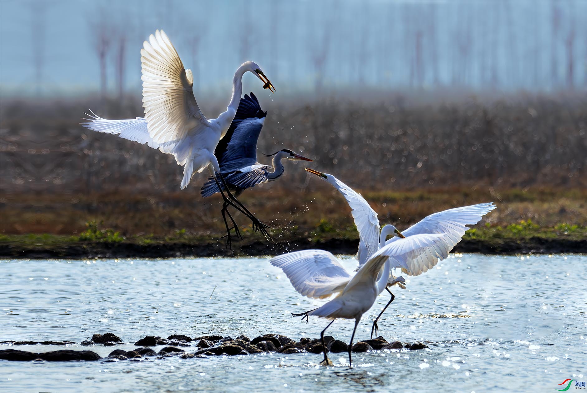 ��·����