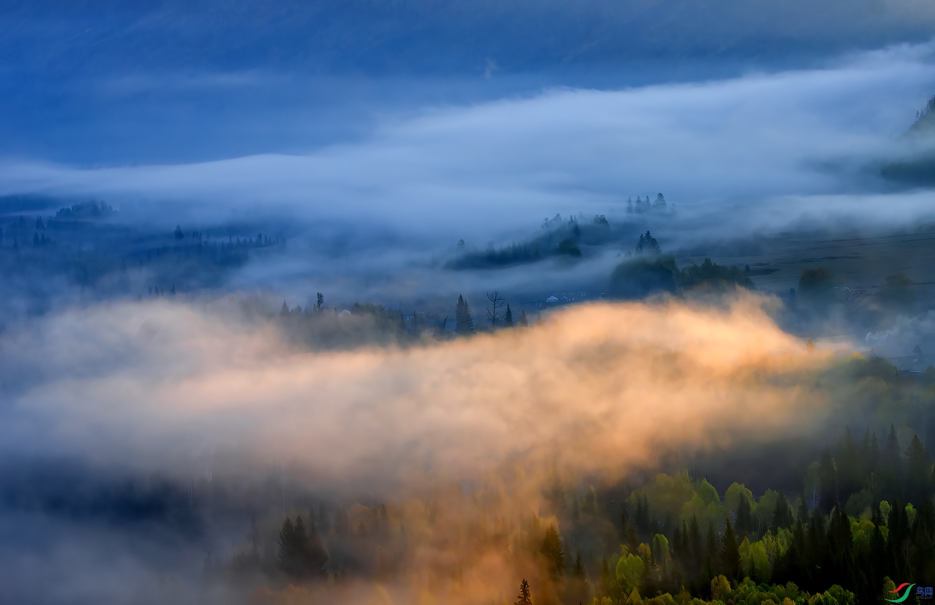 _DSC9256-NEF_ ��ľ.jpg