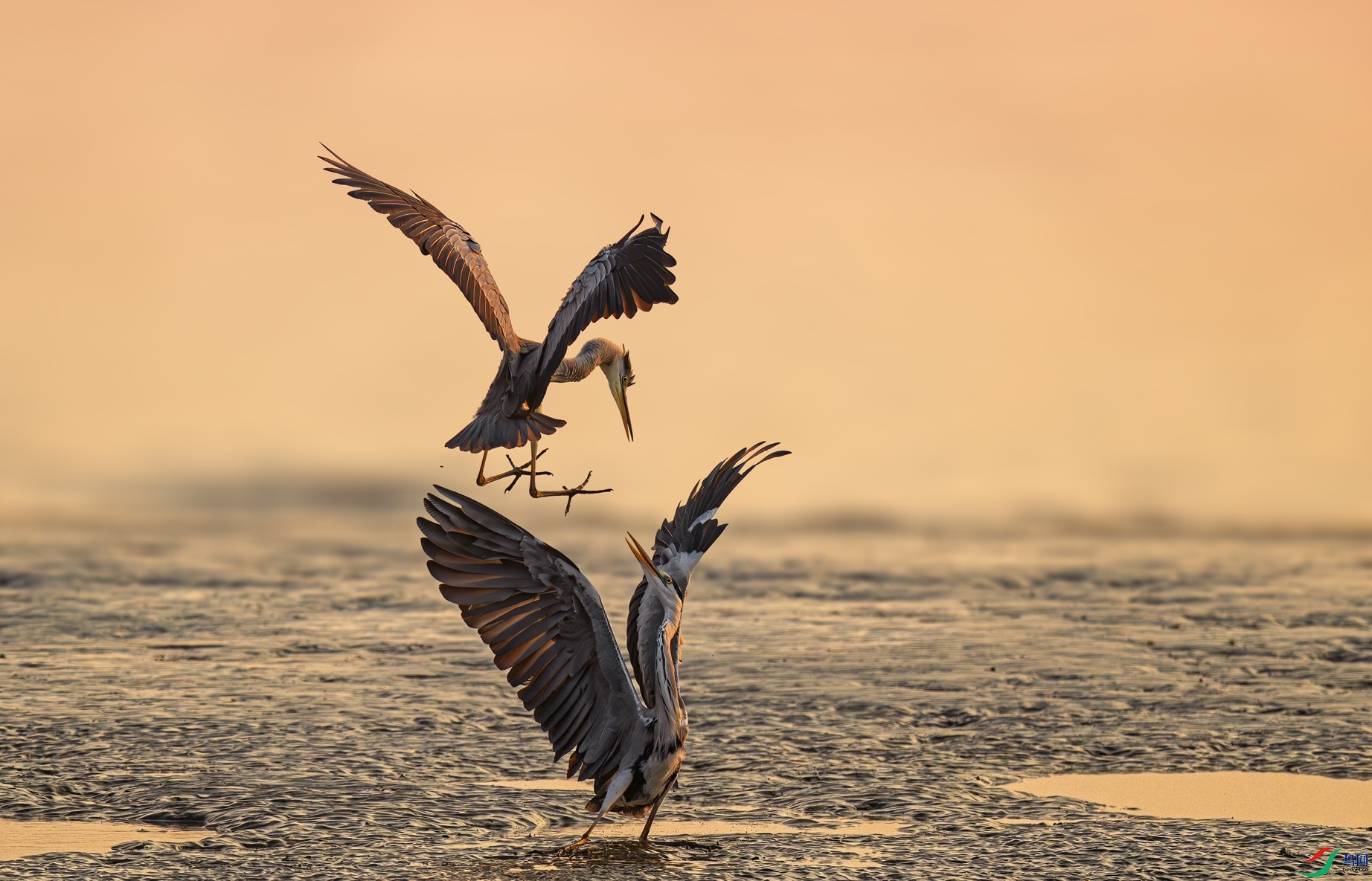 ̲Ϳ�Ի���3��