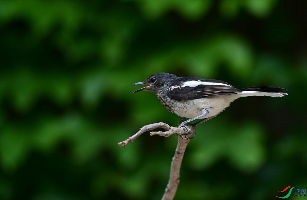DSC_2422_����.jpg