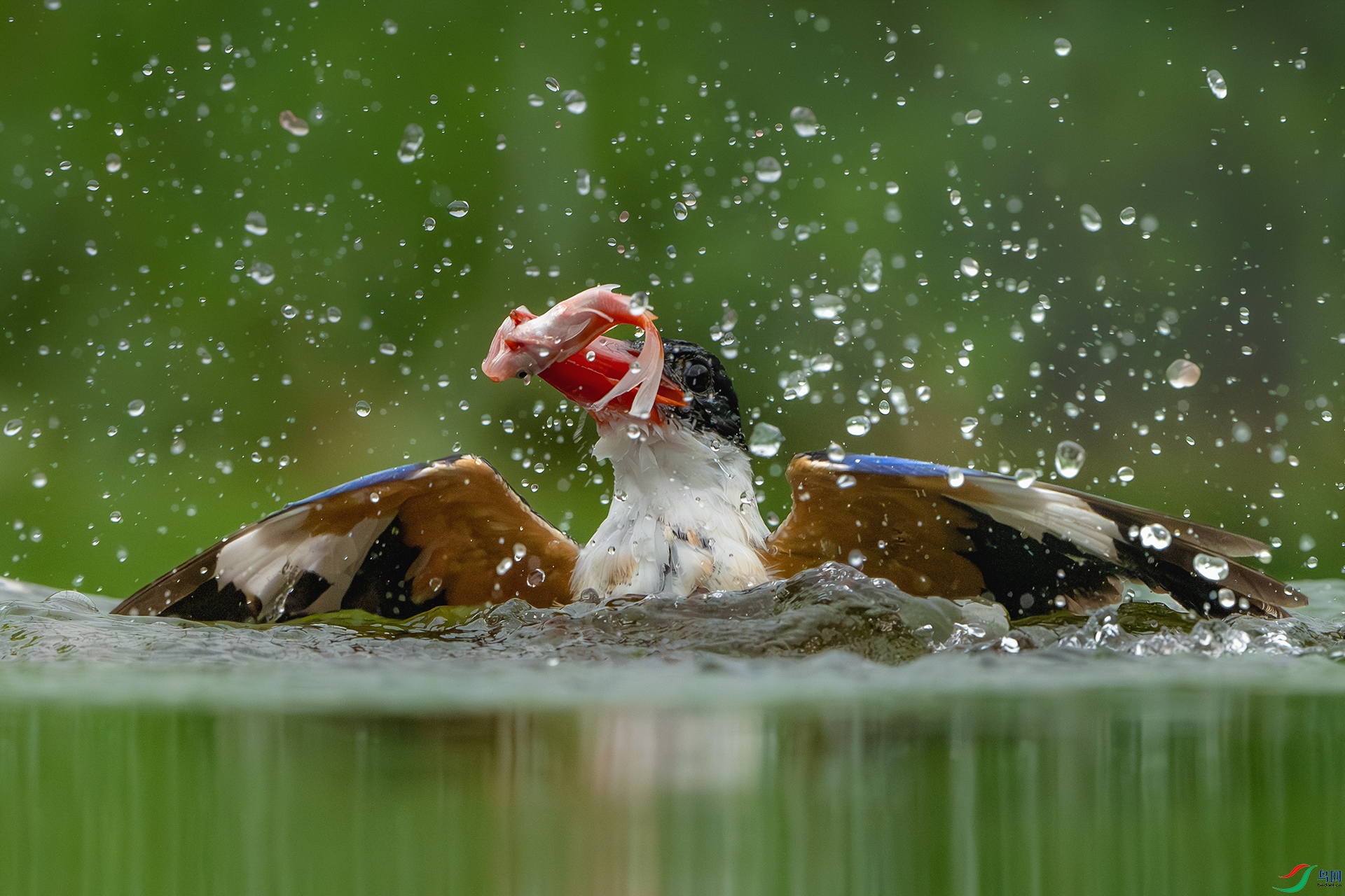 _DSC9714-����ǿ-NR ����С.jpg