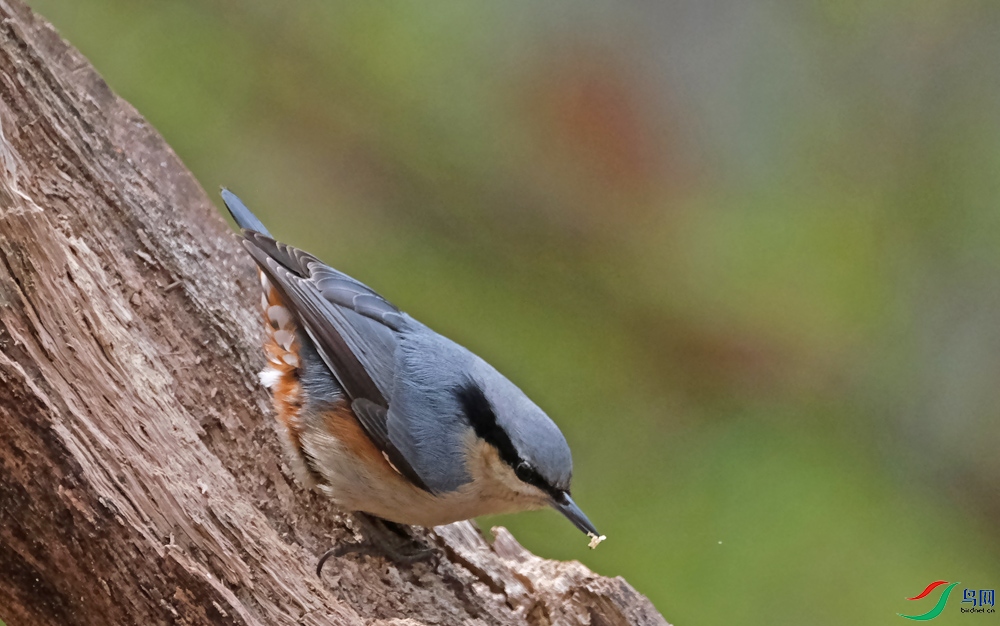 DSCF3394.1.jpg