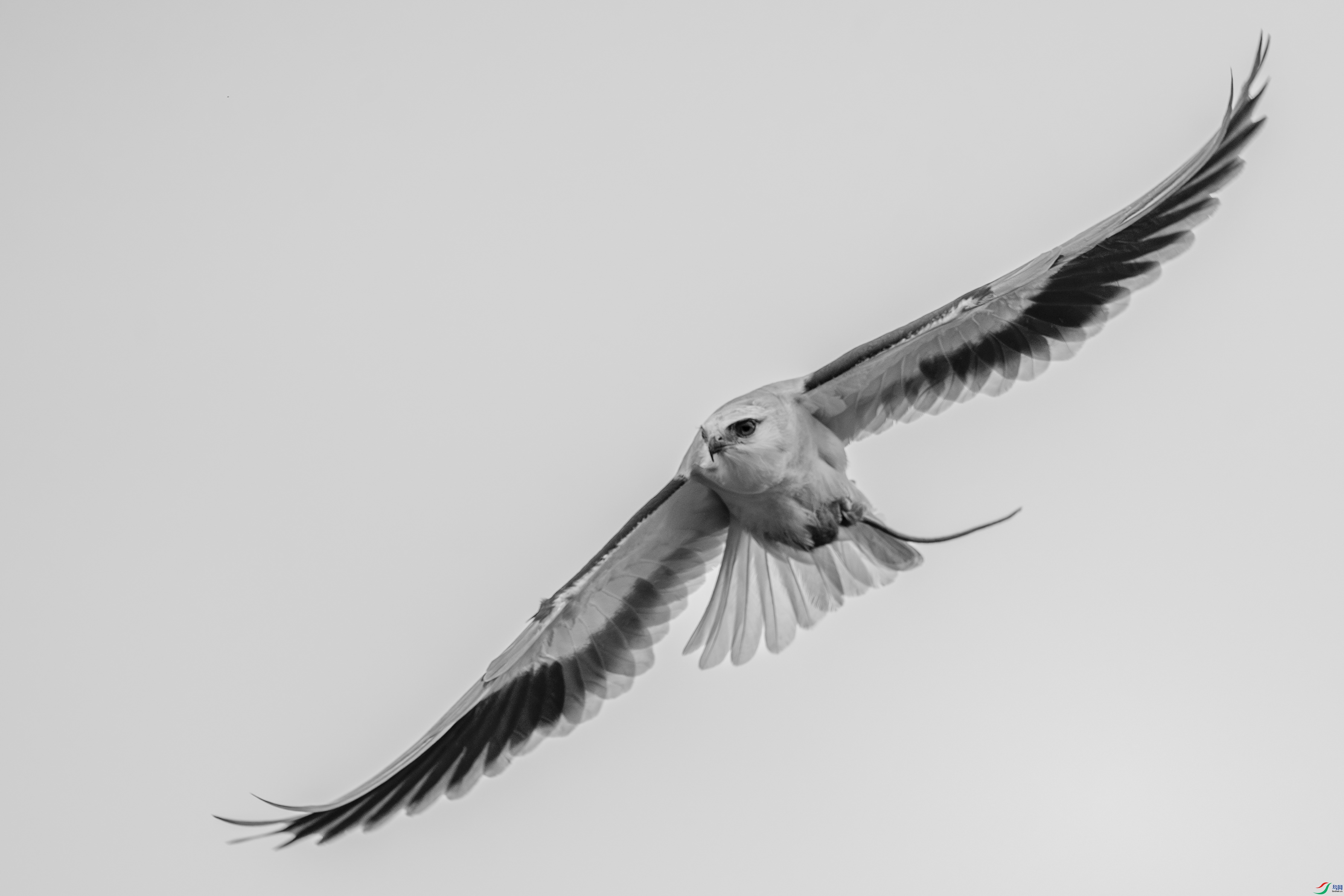 DSC_5741_1.jpg