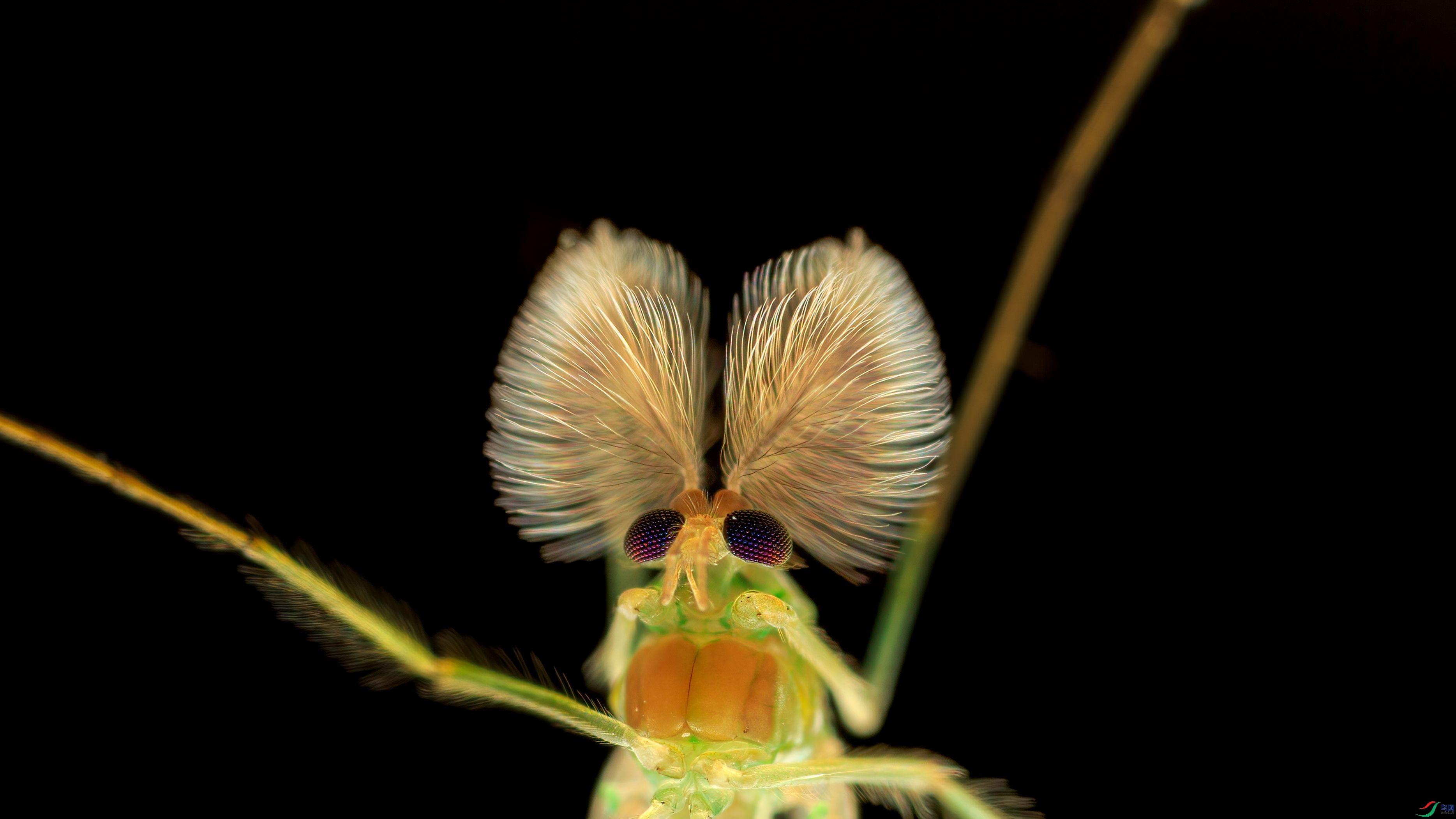 7G9A2726-1_����.jpg