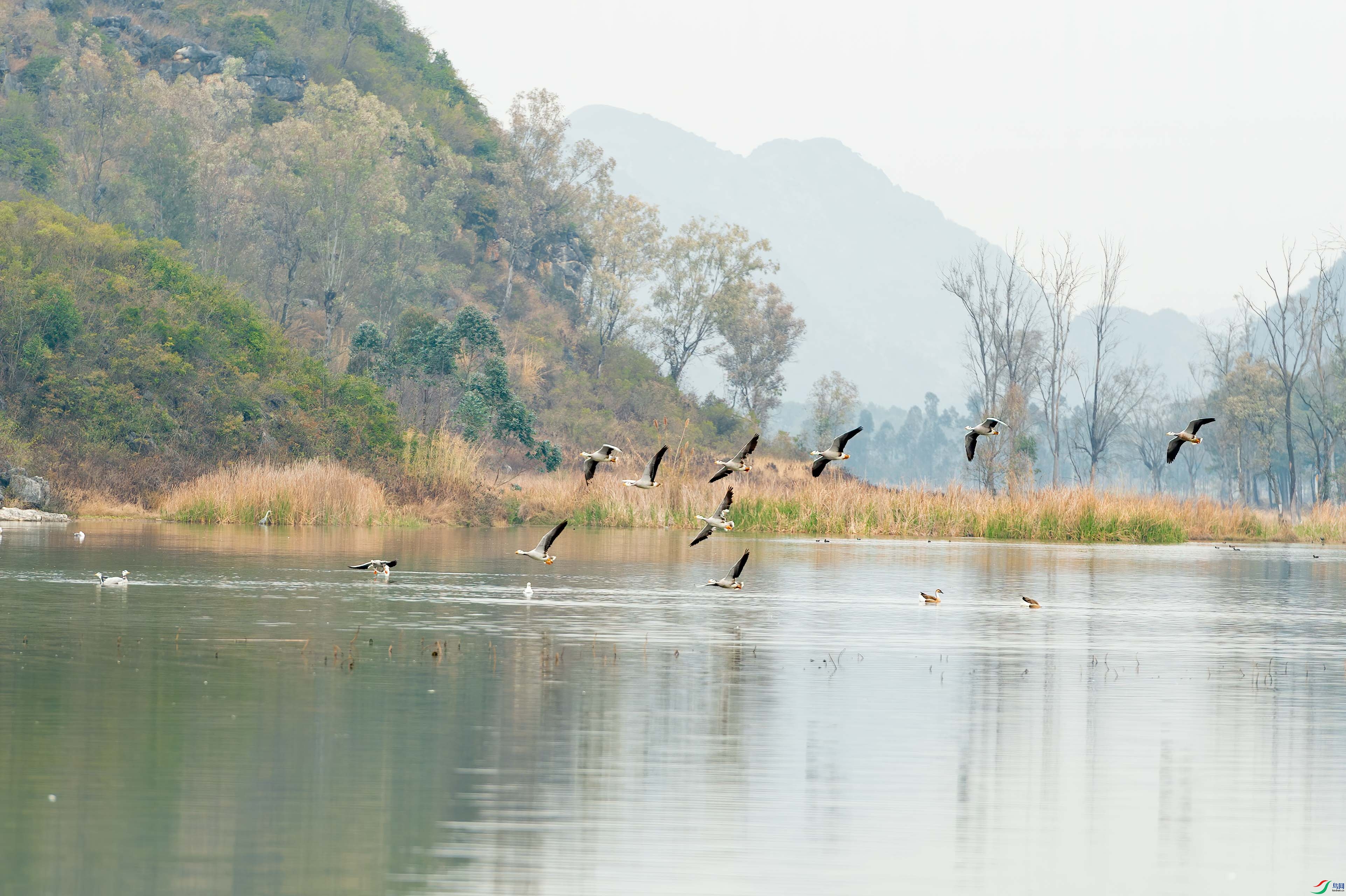 sen2016 2-2-2-�༭-2.jpg