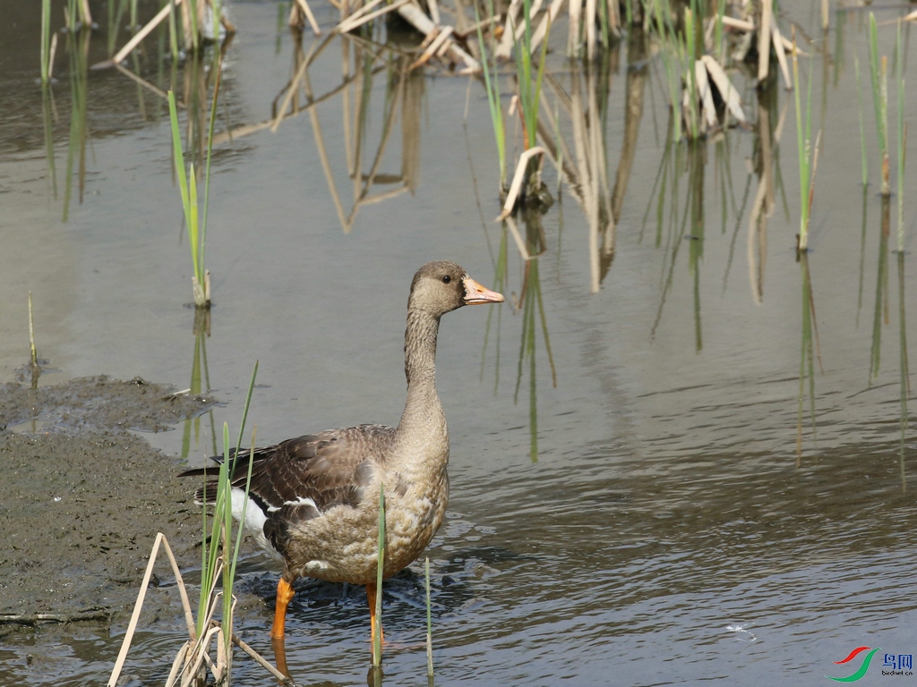 DSC20240330023.jpg
