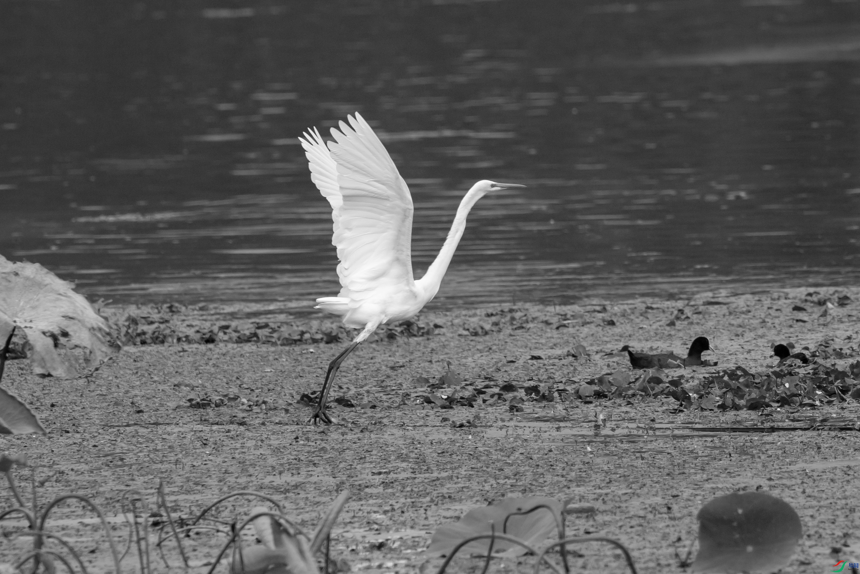 DSC_5844 ����.jpg