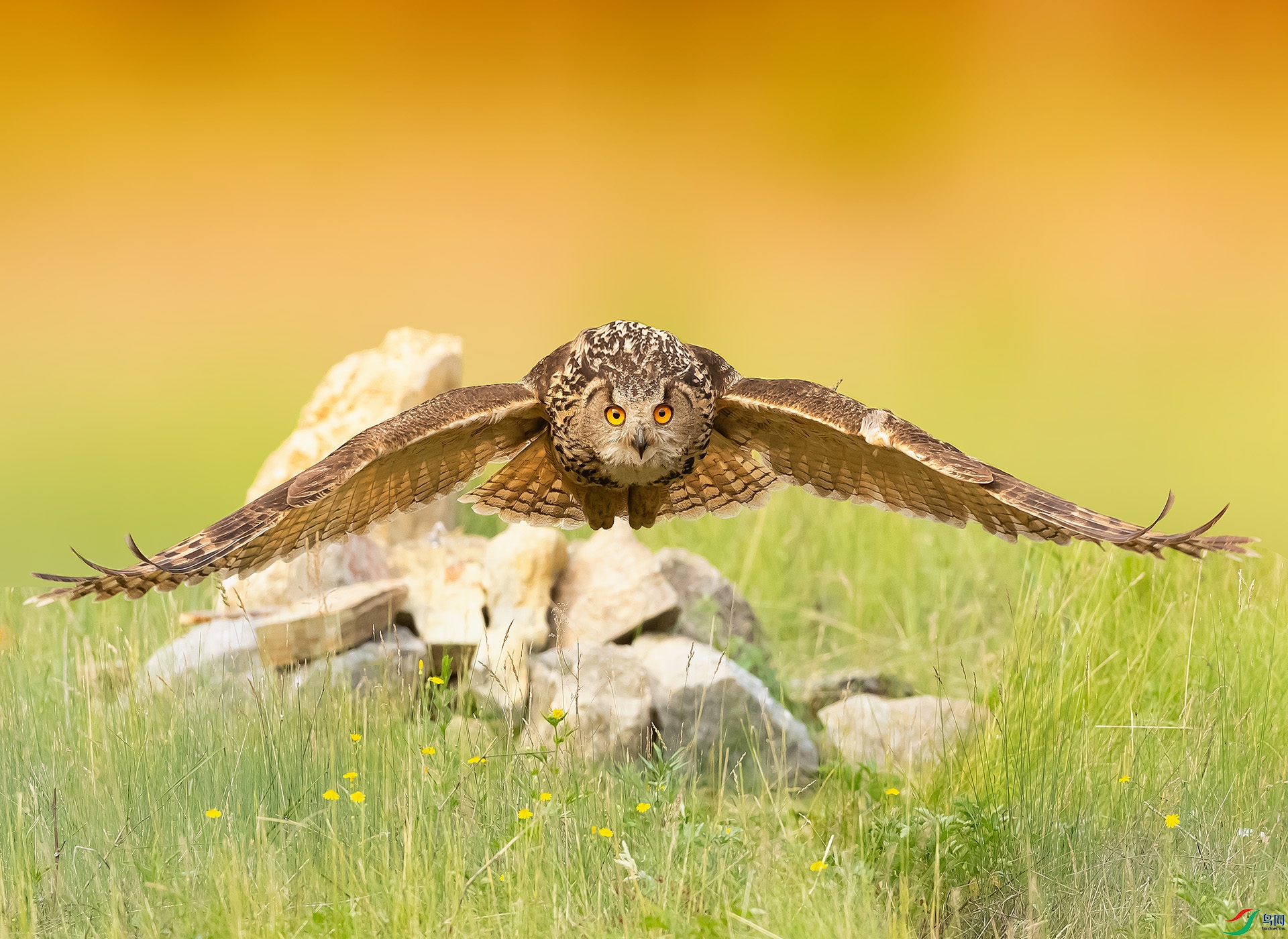 019A1325er ����.jpg