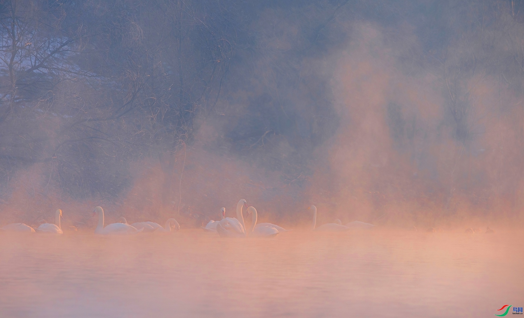 8.17����ͬ��yy��ʦ��Ʒ   �������̡���ԡ���� ��ף���ٻ��Ա������.jpg