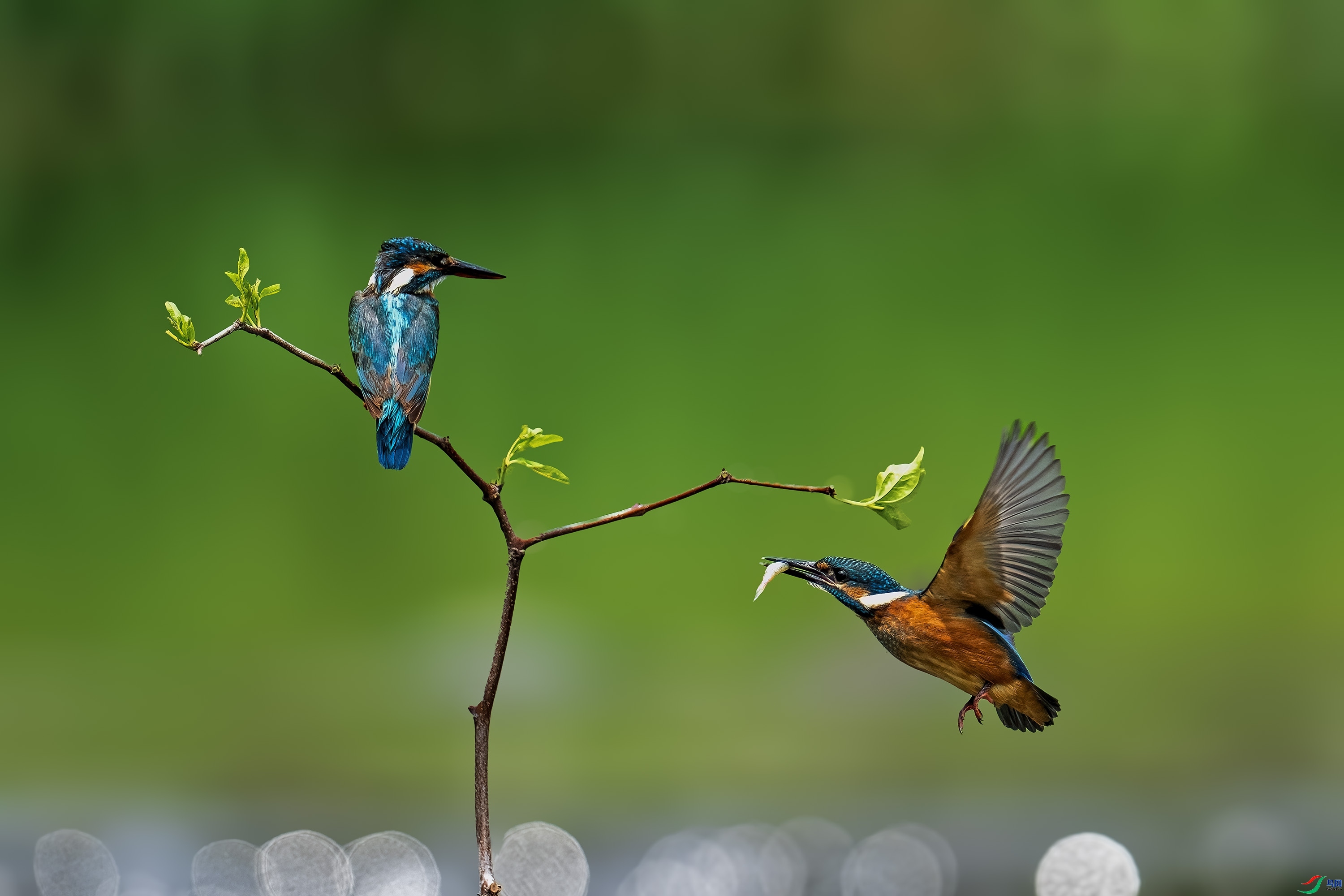 8.17������ʦ��Ʒ   �����~ ��ף���ٻ����Ѿ�����.jpg