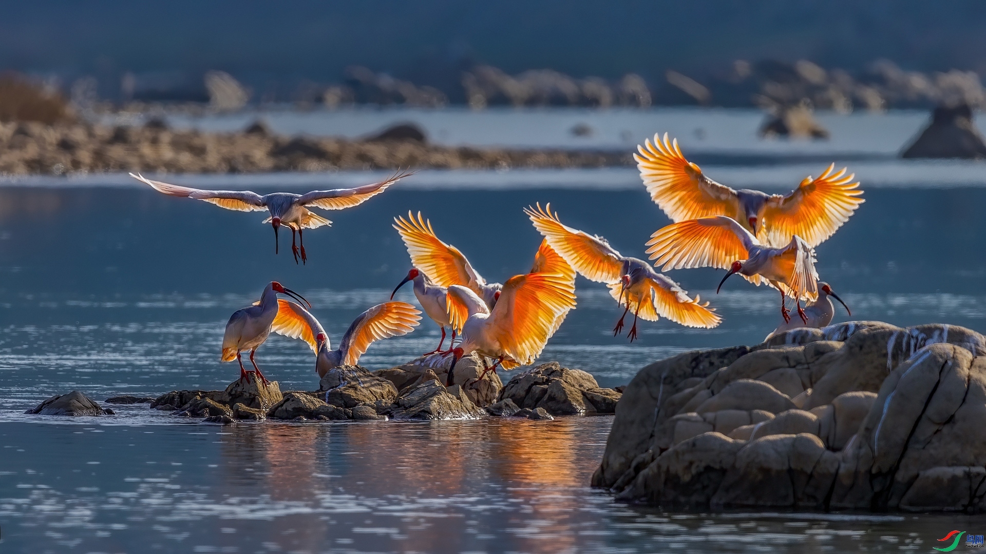 8.30�ƽ�Ҷ��ʦ��Ʒ   ���q�������͸�λ��ף���ٻ����Ѿ�����.jpg