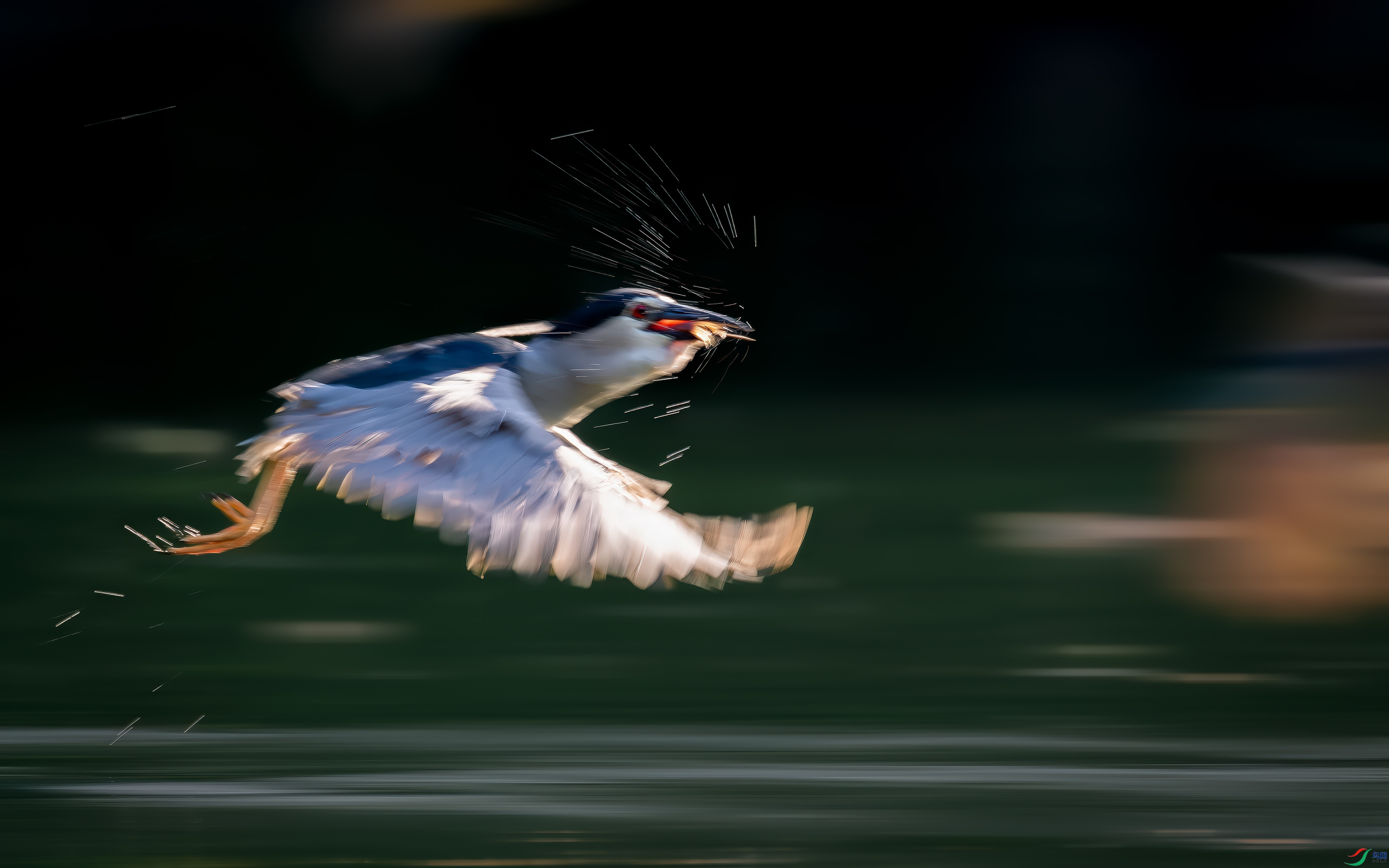 DSC_1947-����ǿ-NR ����.jpg