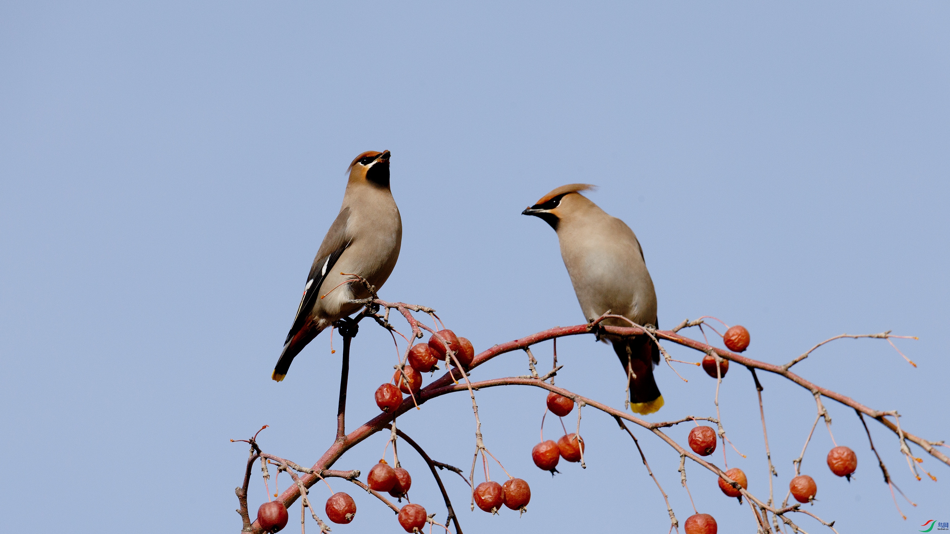 _X5A5156 ����00.jpg