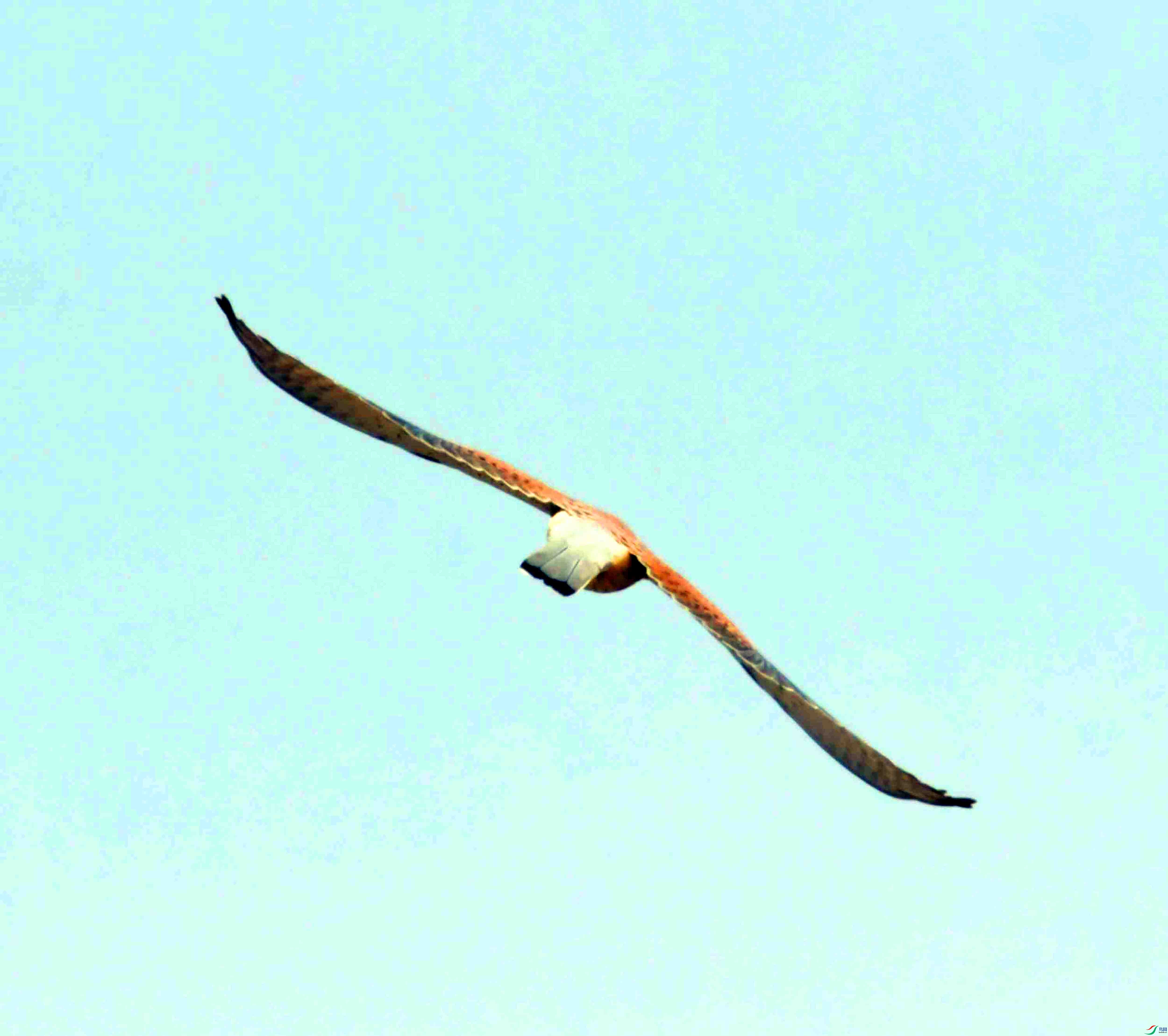 DSC_3987.JPG