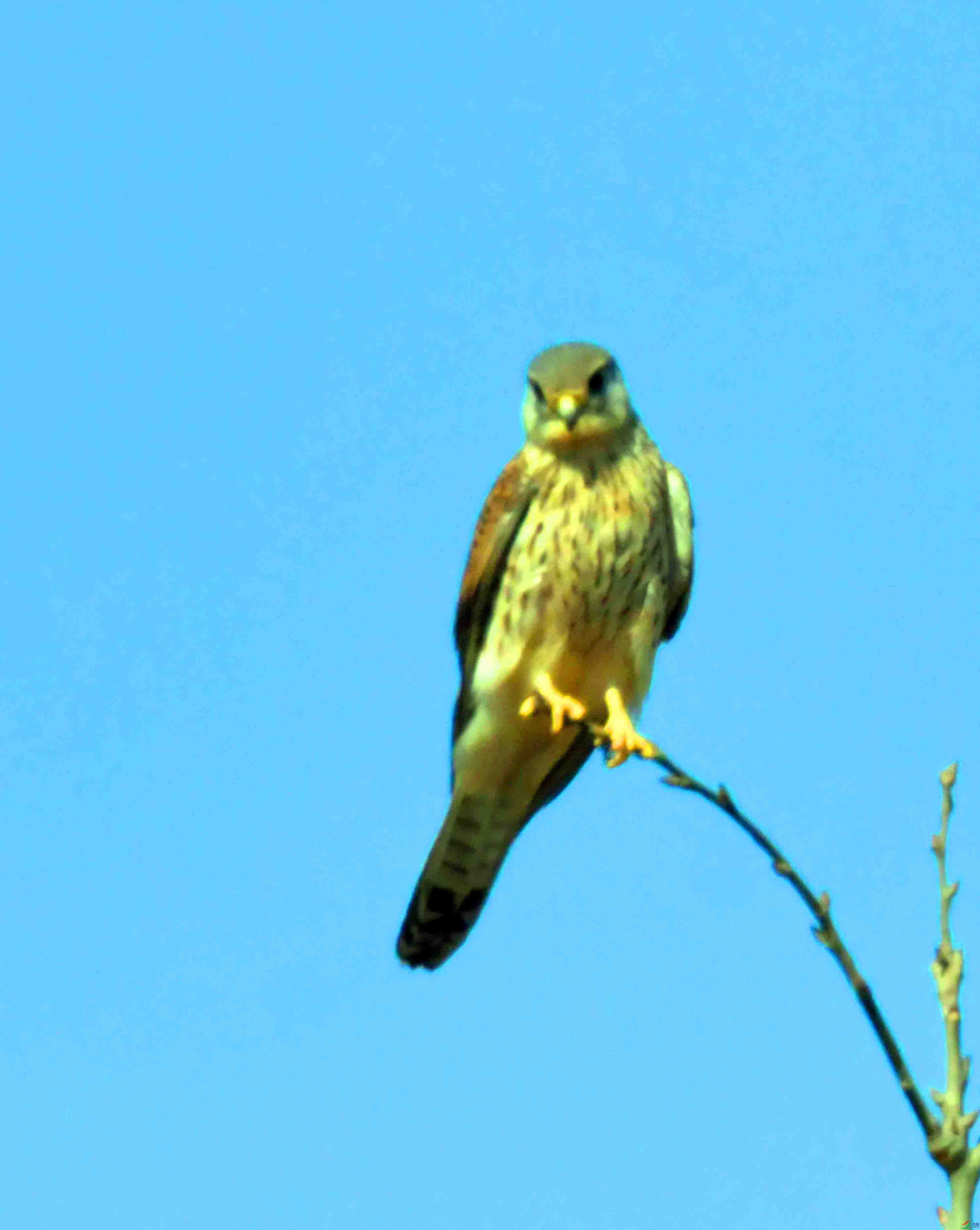 DSC_8070.JPG