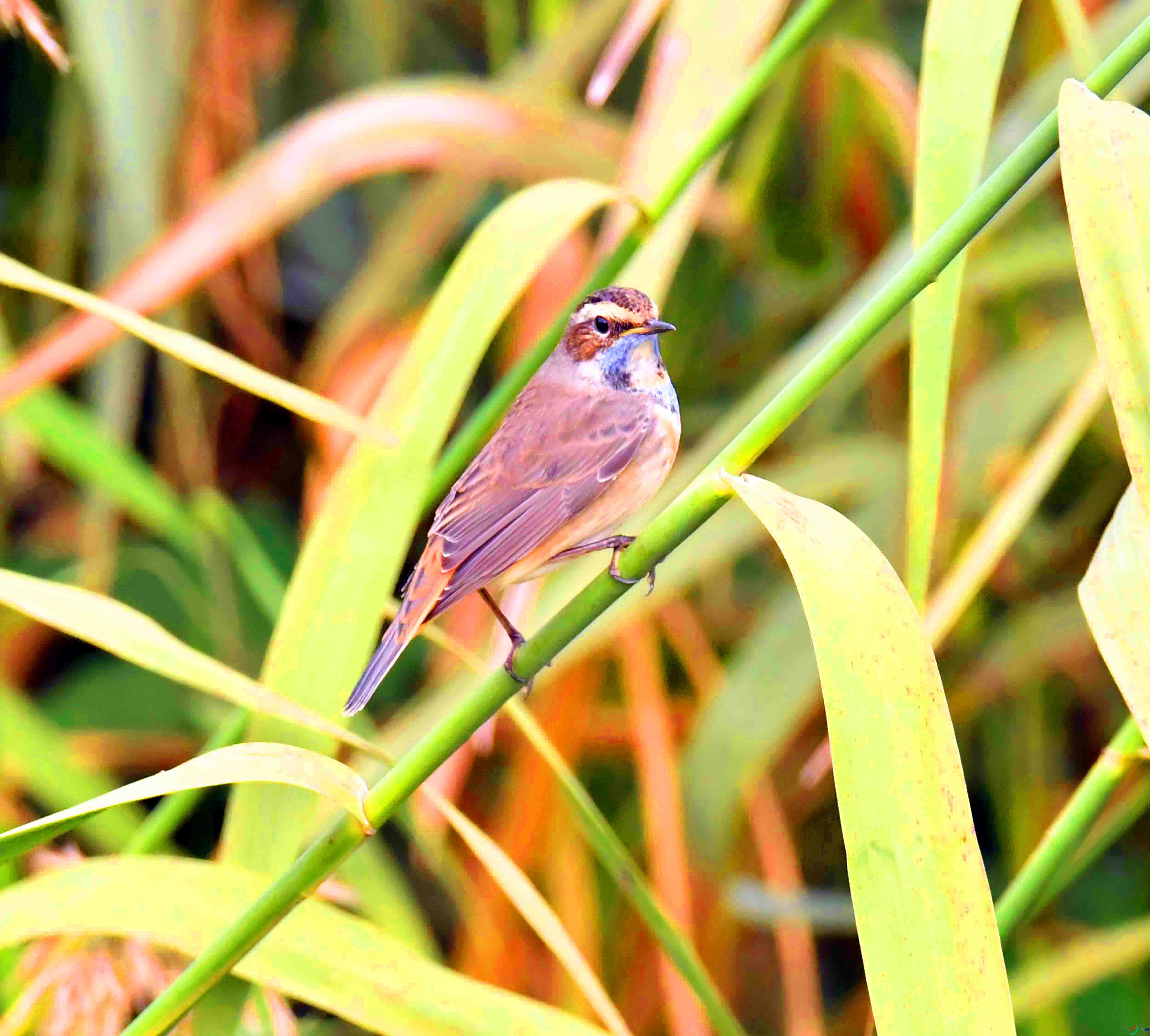 DSC_8189.JPG