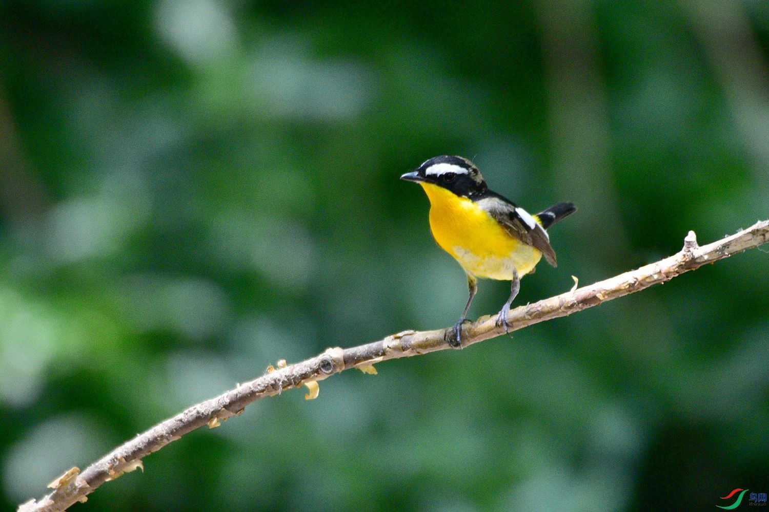 DSC_5963.JPG