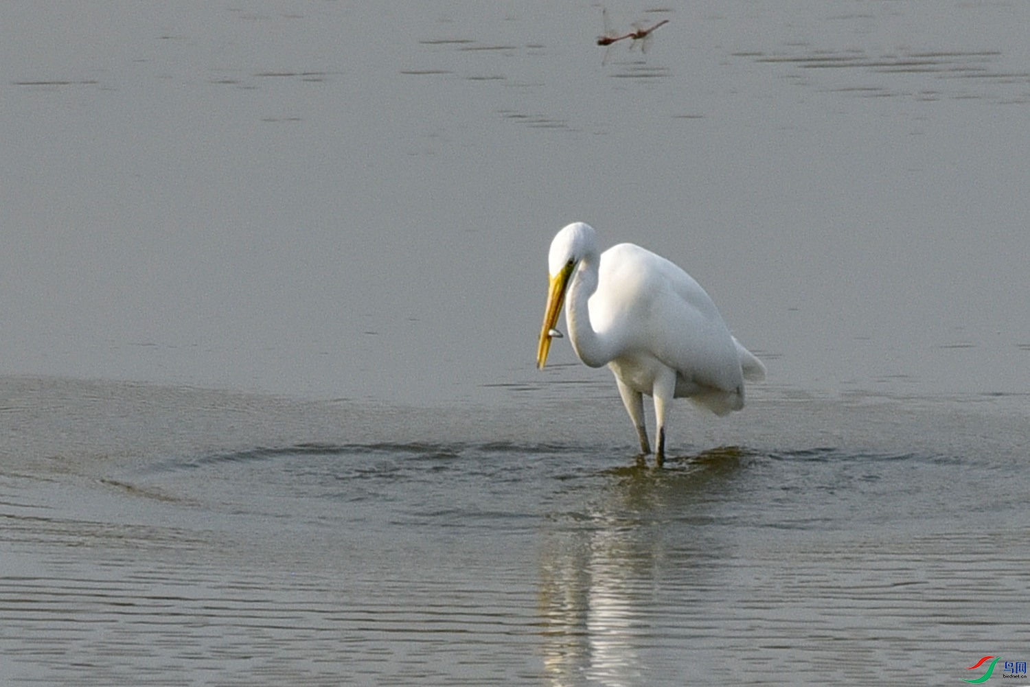 DSC_3997.JPG