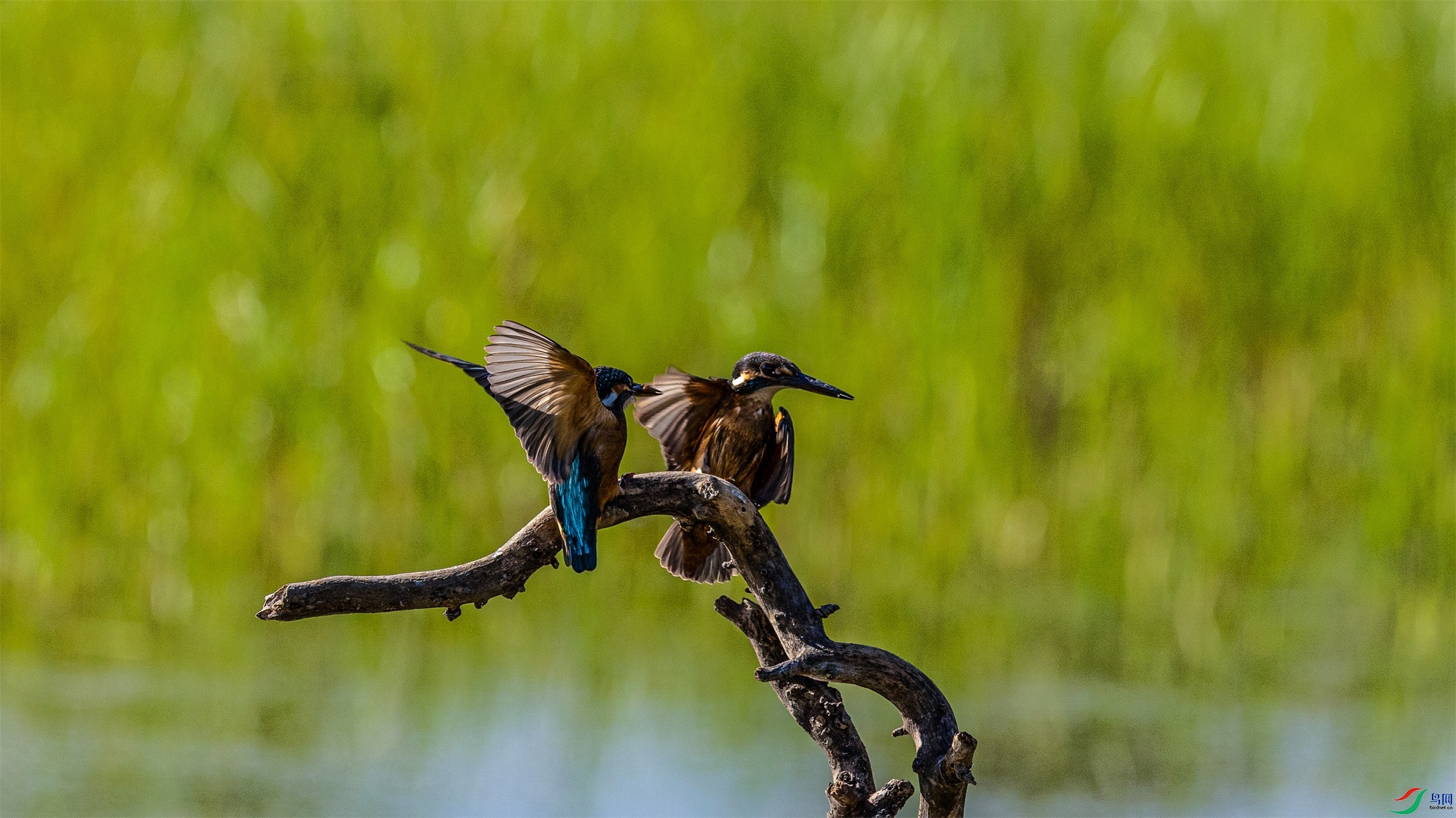 1K3A4667 ����1.jpg