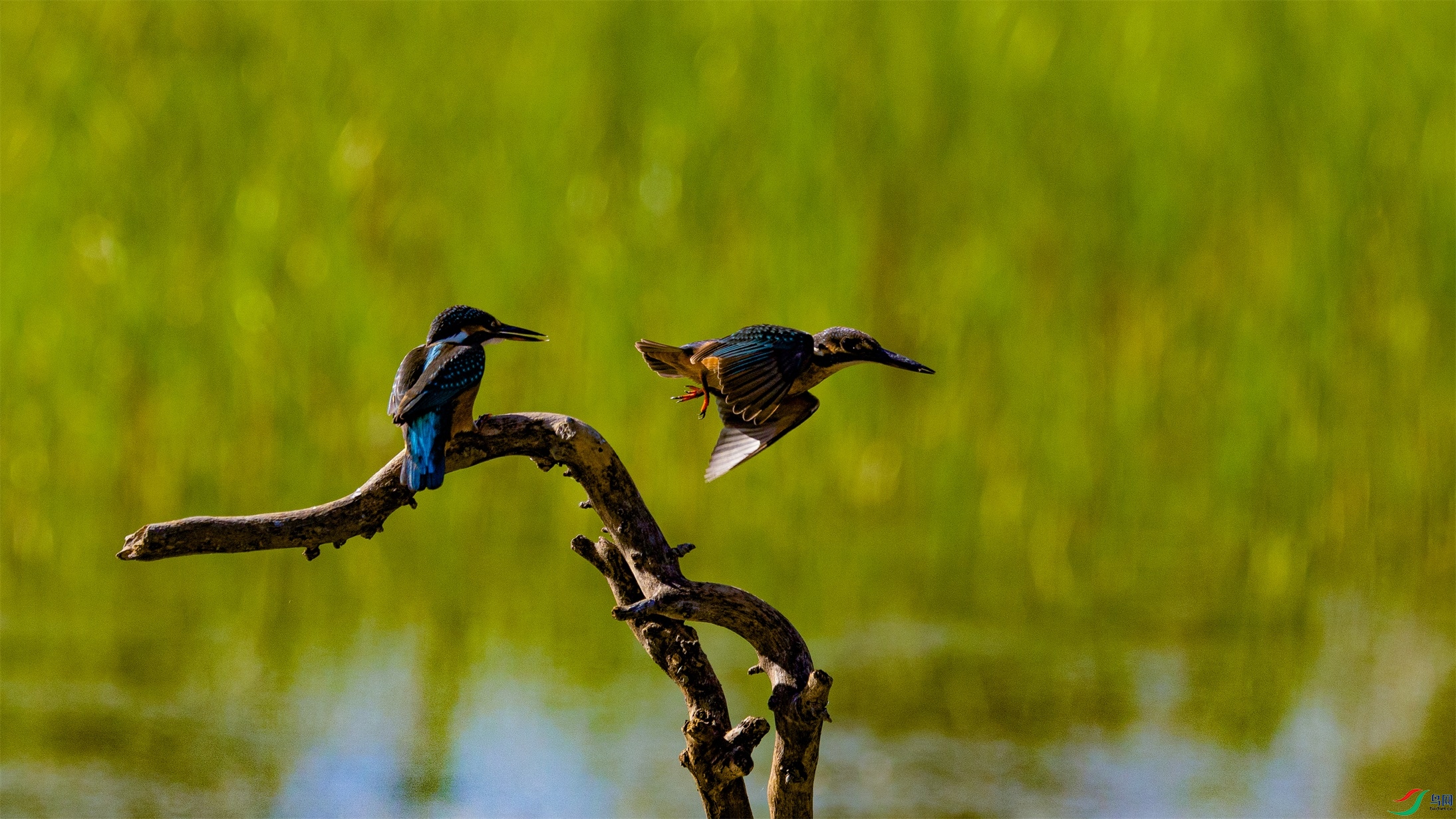 1K3A4669 ����1.jpg