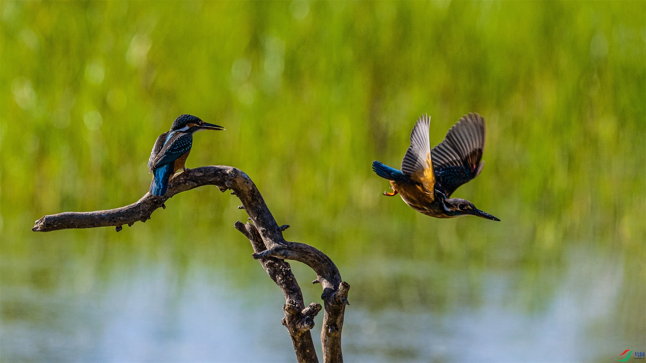 1K3A4671 ����1.jpg