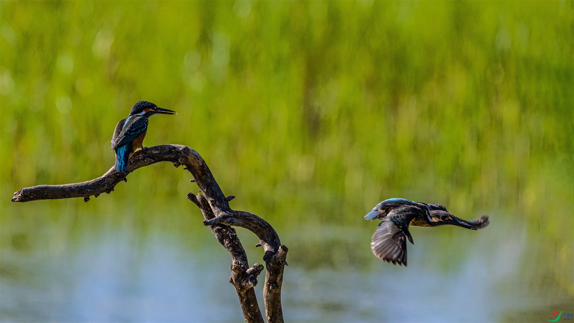 1K3A4672 ����1.jpg