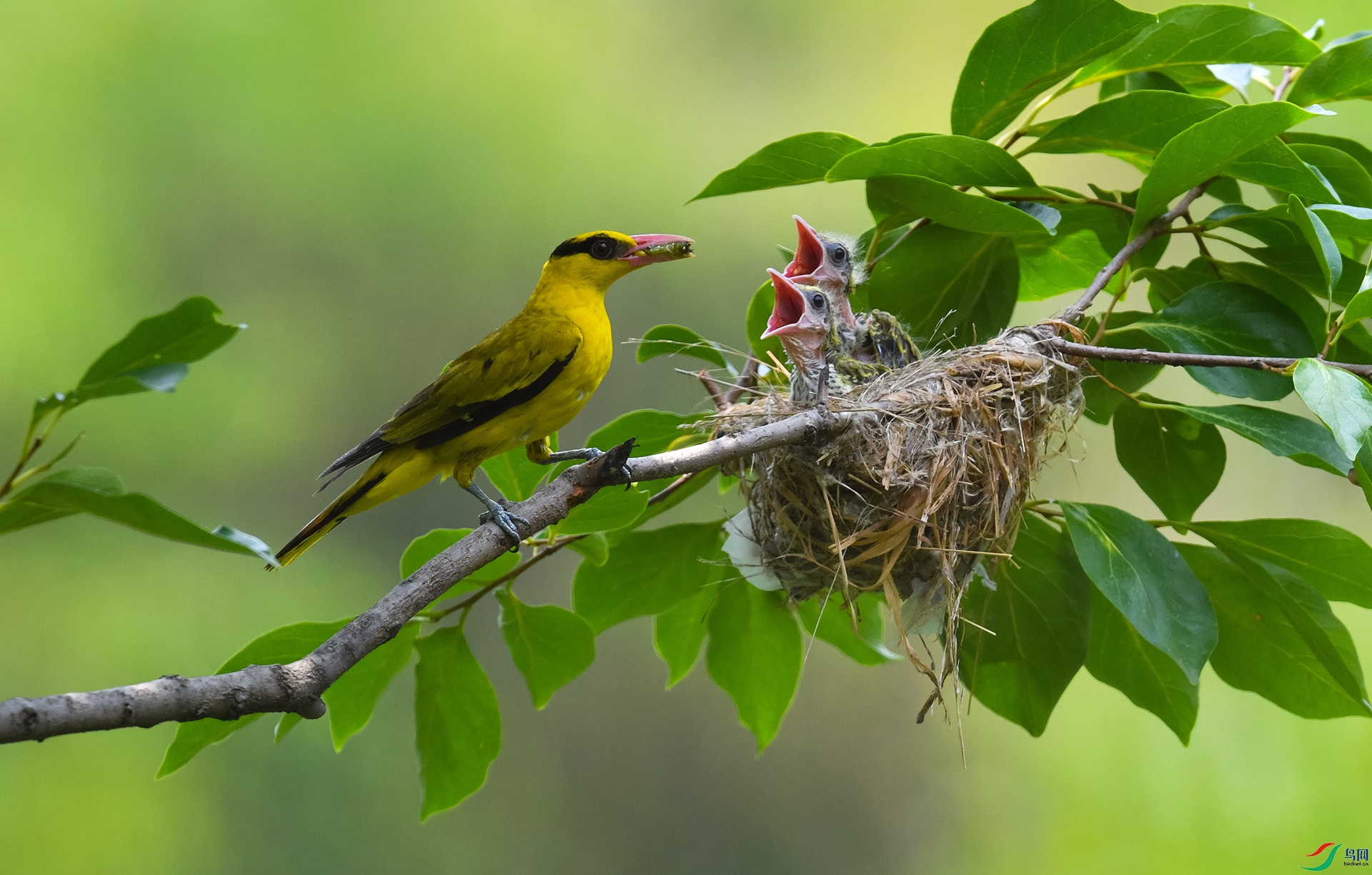 XQD_0470 ����.jpg