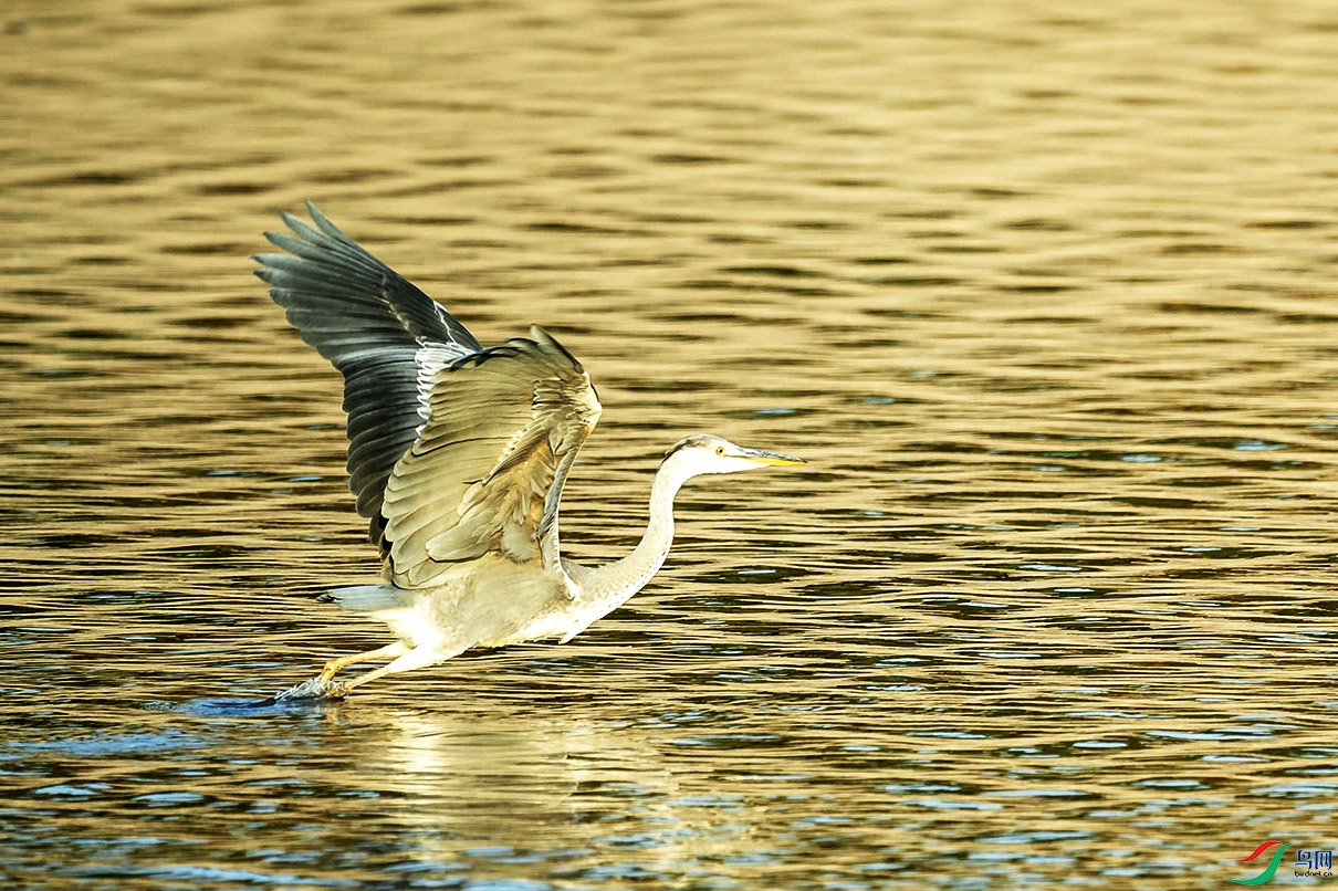_DSC7902.jpg