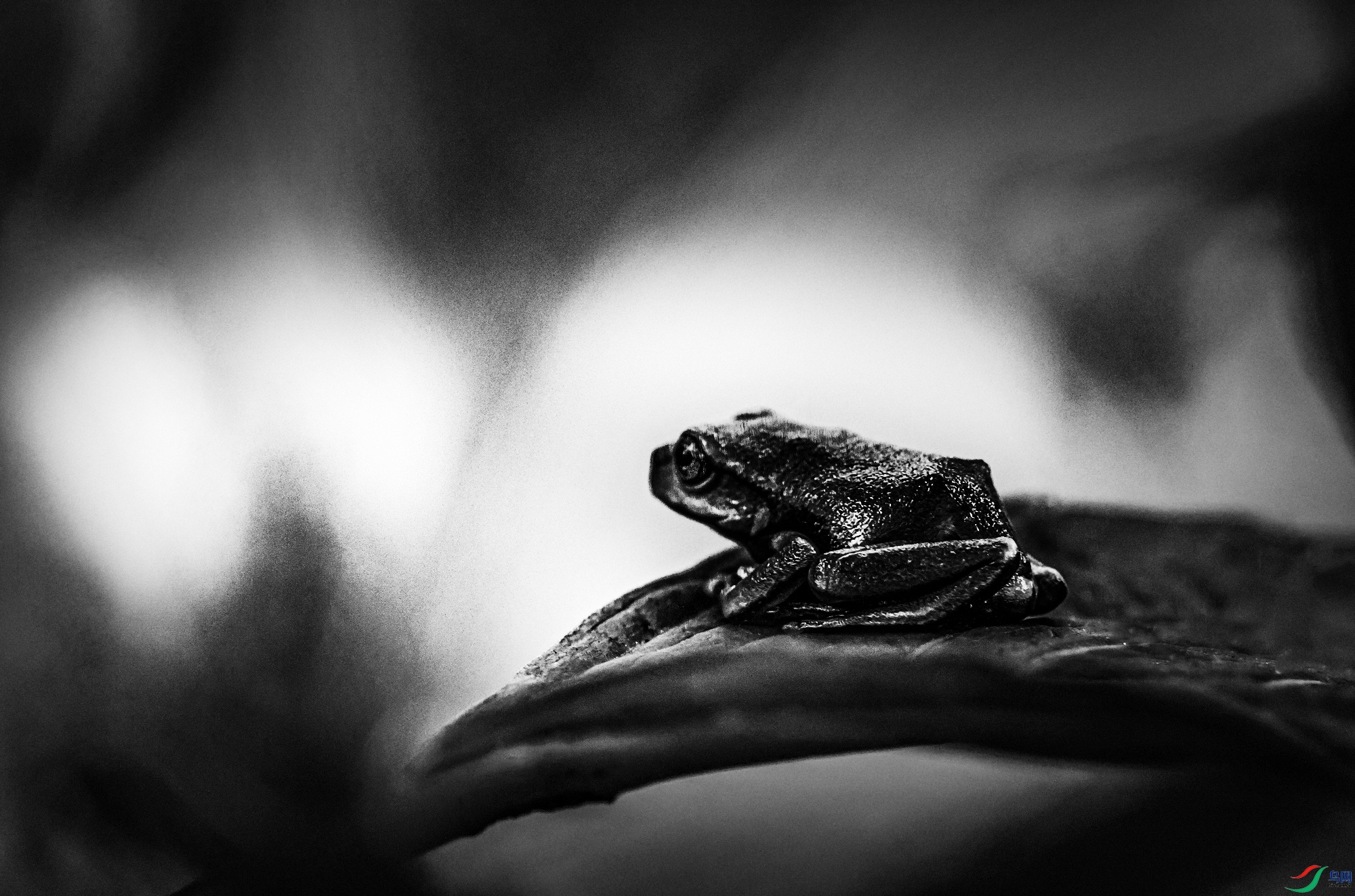 ����-���ǹ�