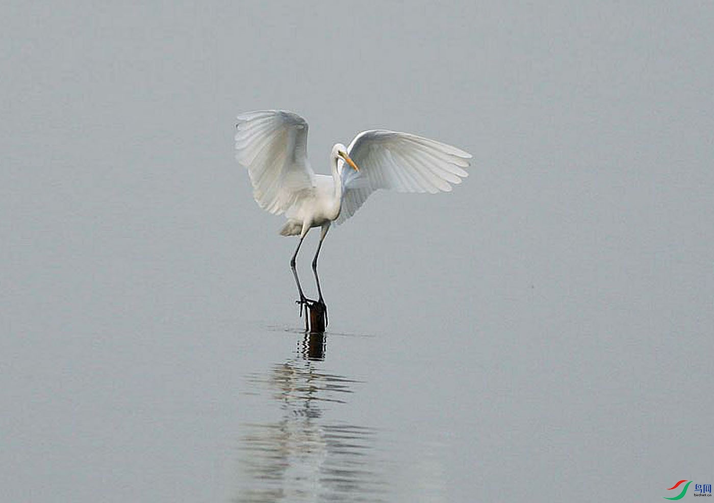 14-��¶  ����.jpg