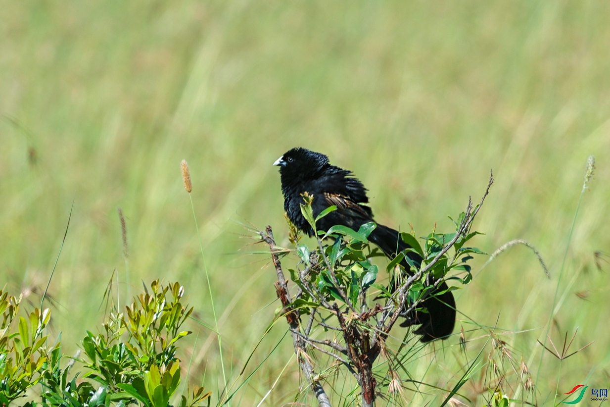 ΢��ͼƬ_20240901220906 ����..jpg