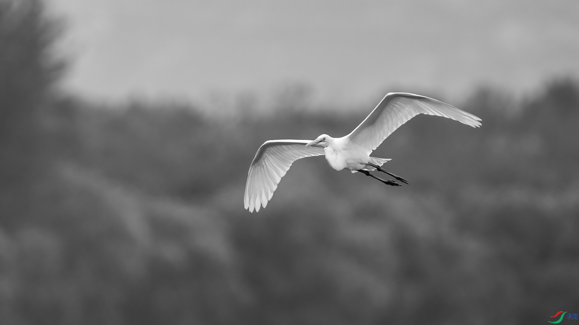 DSC07028 ����.jpg