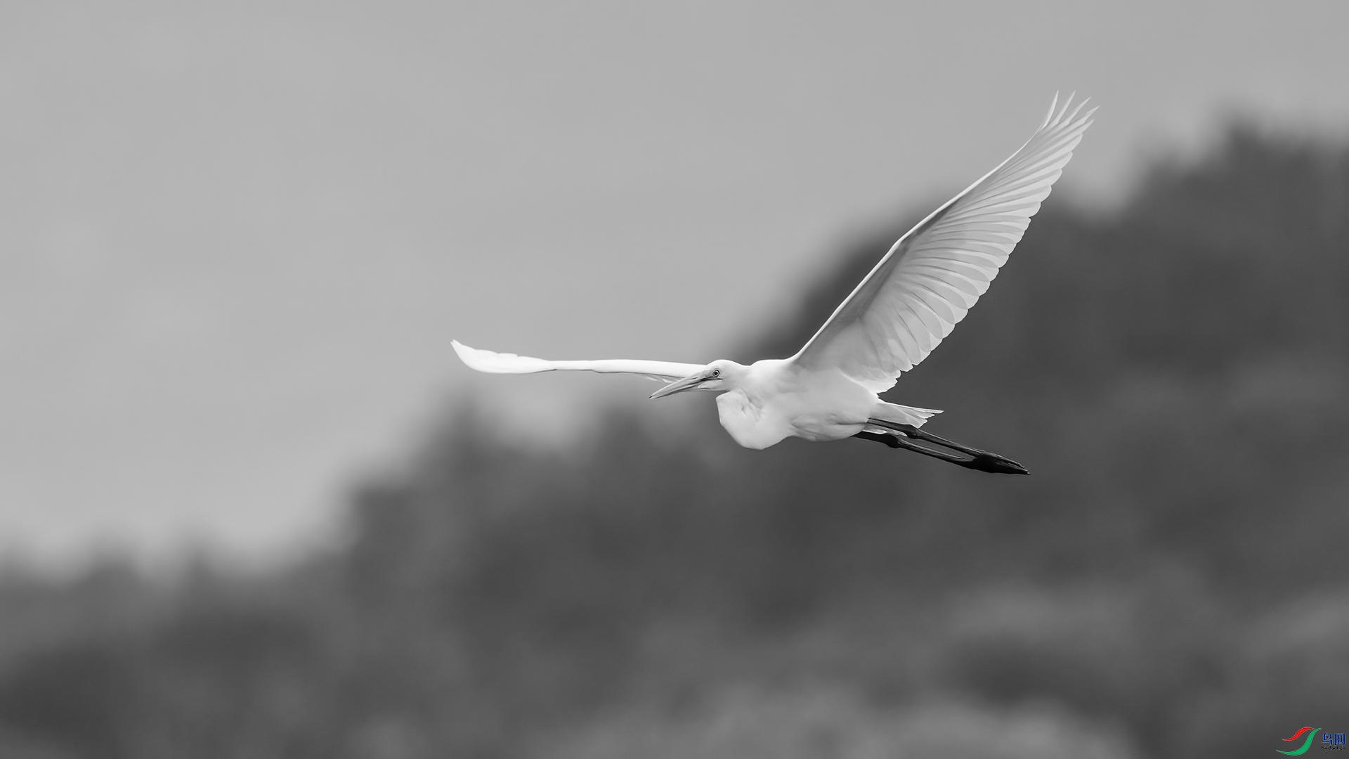 DSC07033 ����.jpg