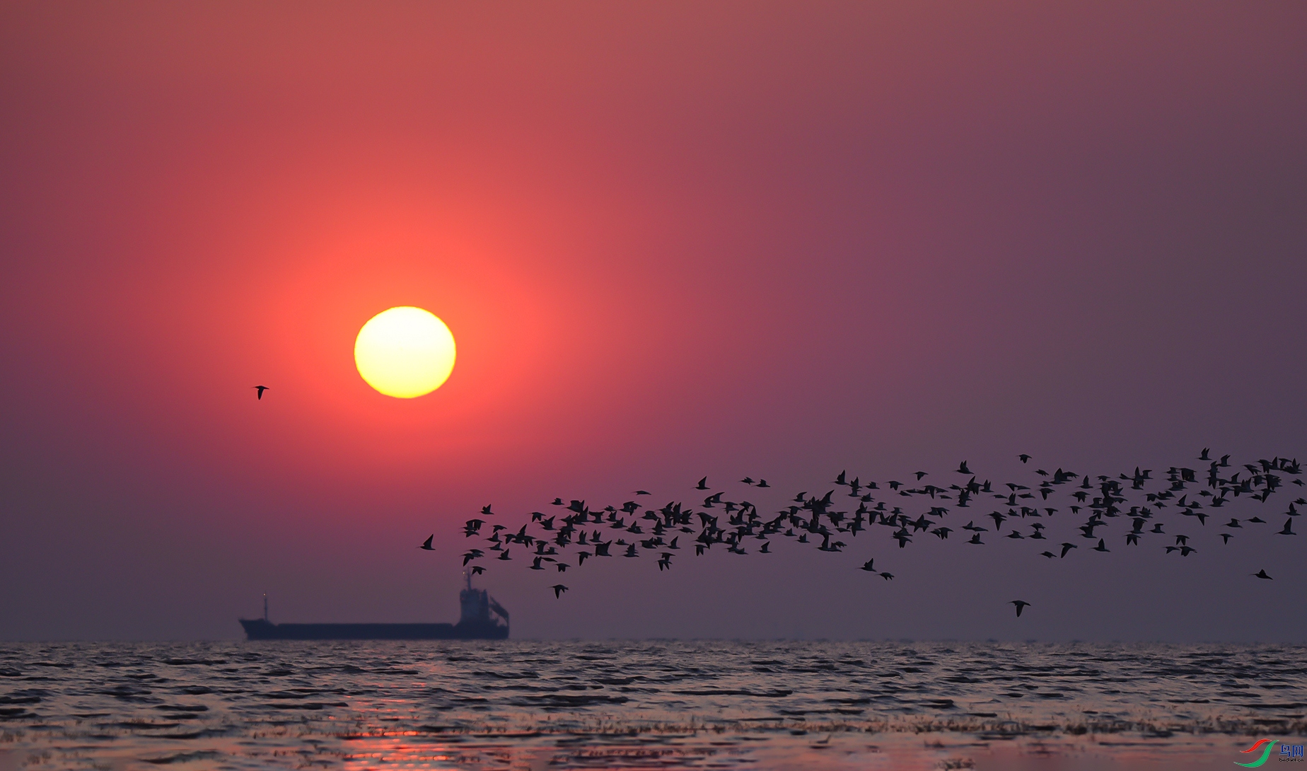 DSC_3040d2.jpg