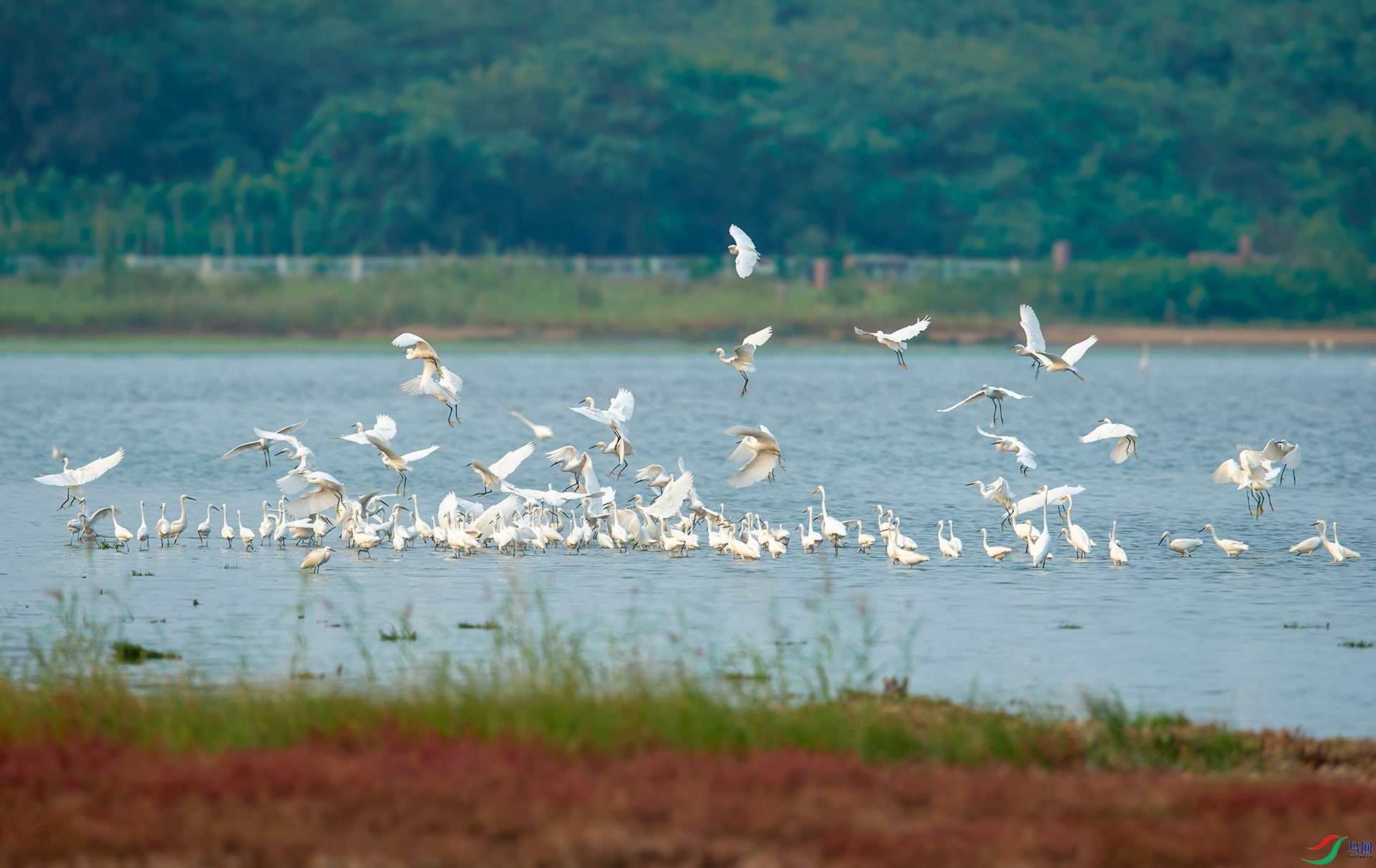 DSC_3283-1.jpg