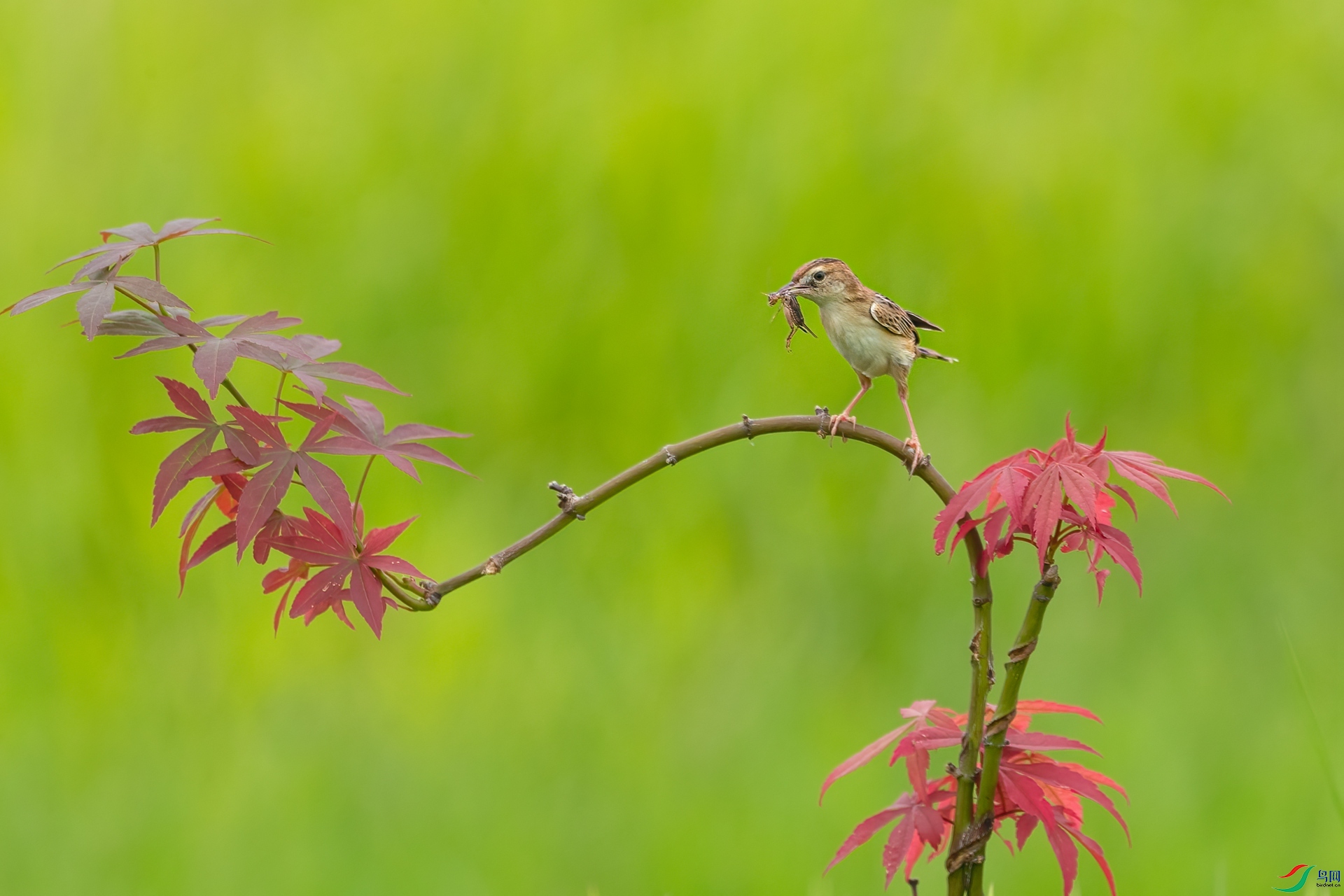 B86I0112 _����.jpg