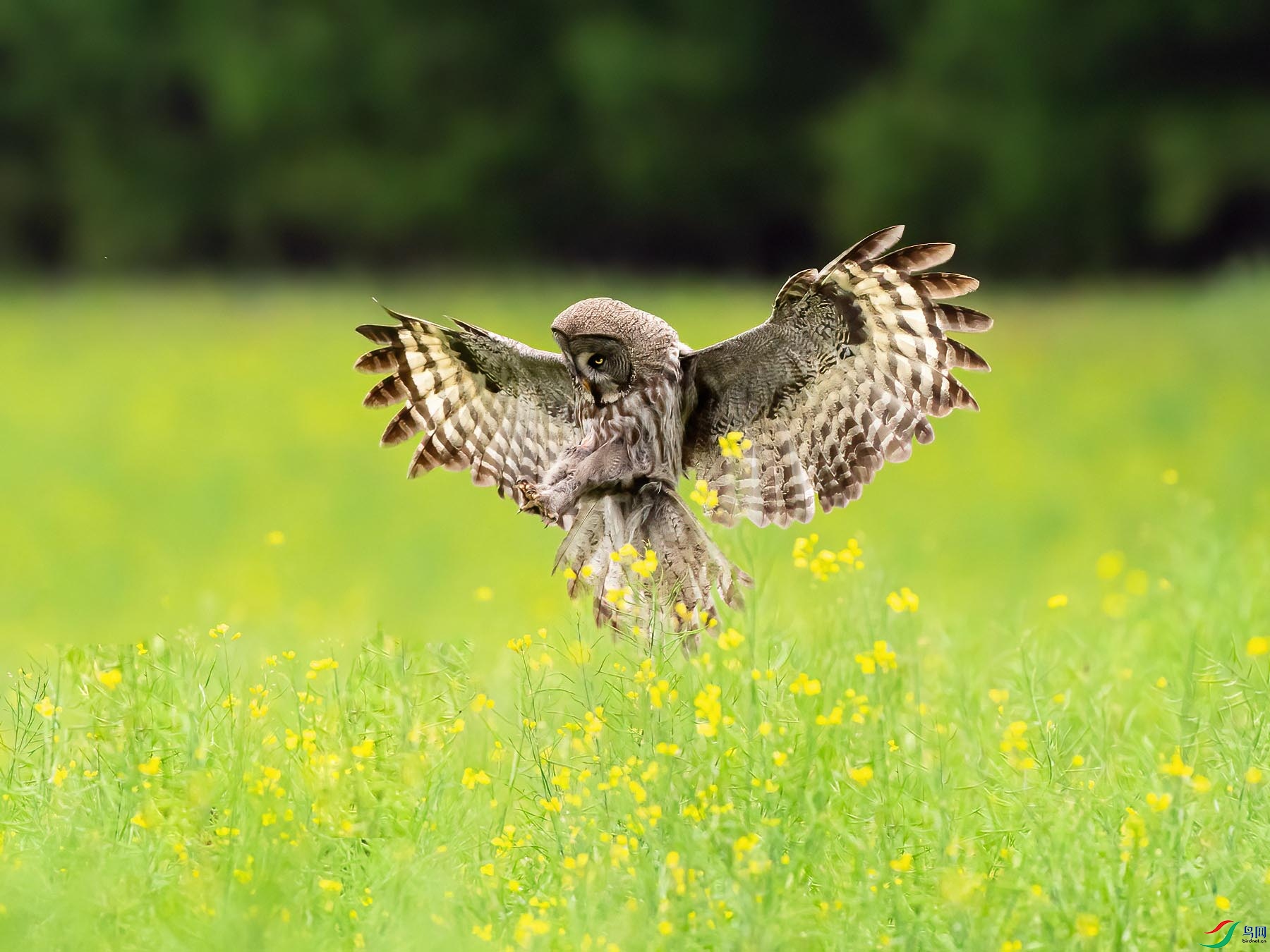 DSC03181_���� ����.jpg