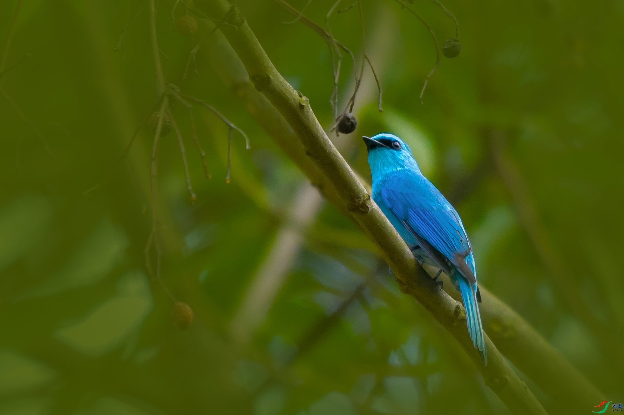 DSC_0317.JPG