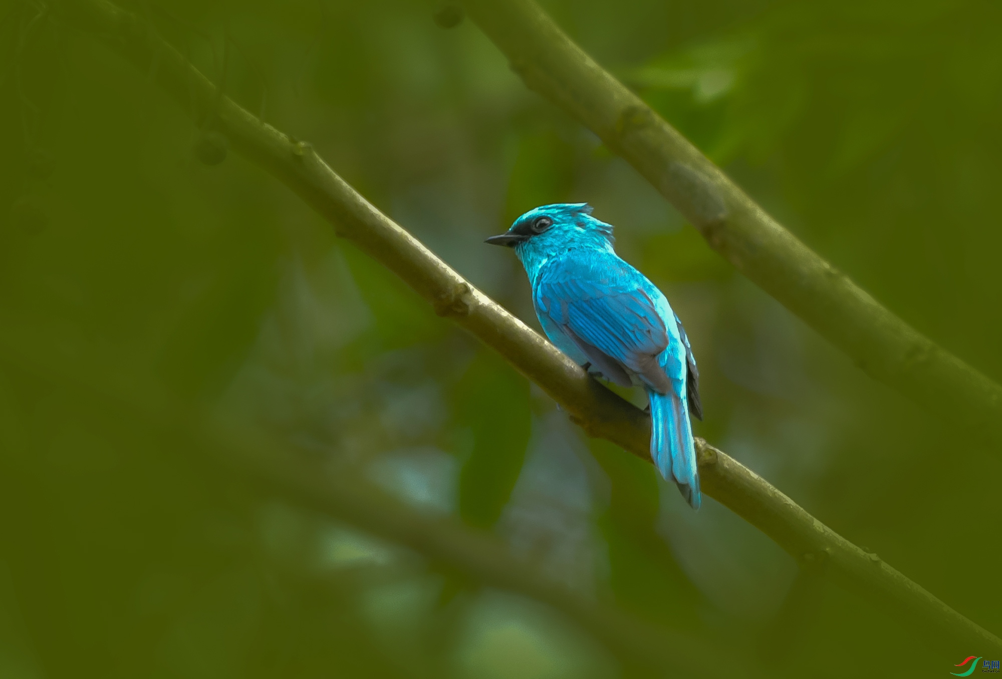 DSC_0328.JPG