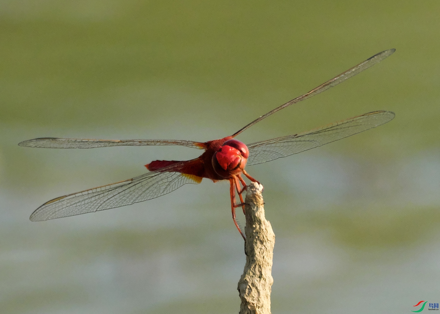 DSCF2441.jpg