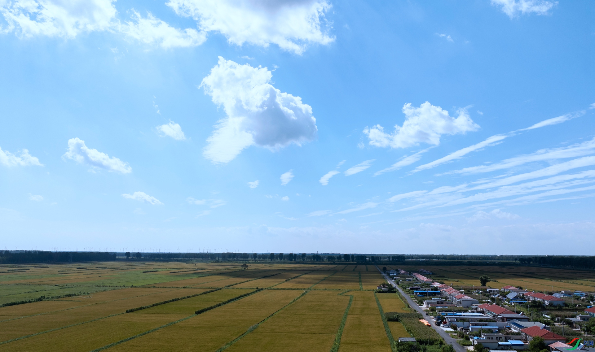DJI_20240901134234.jpg