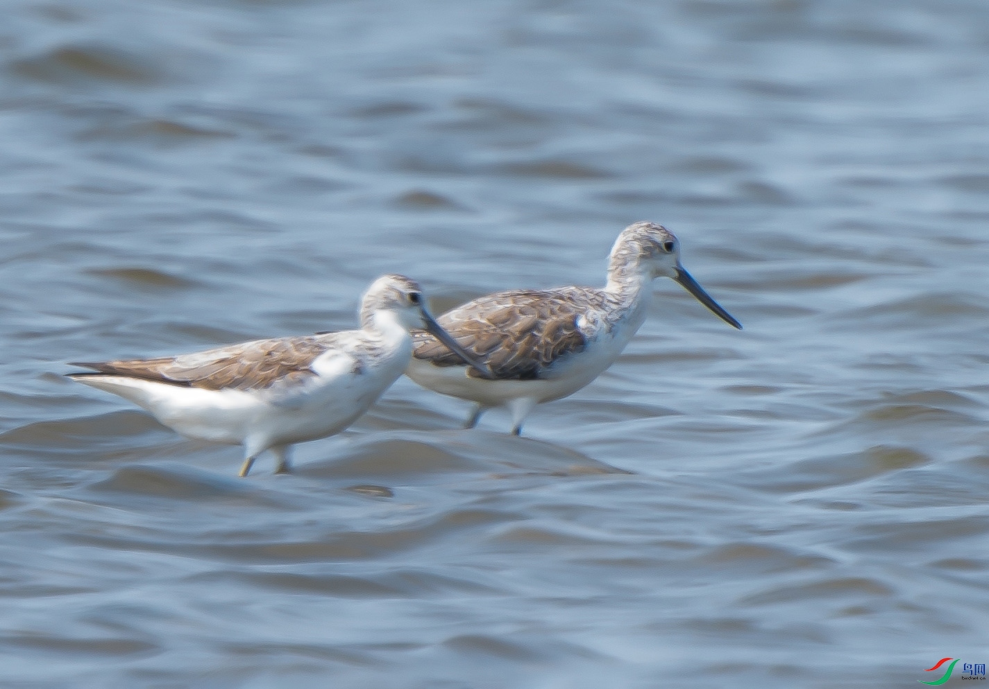 DSC09664 ���� 2.jpg