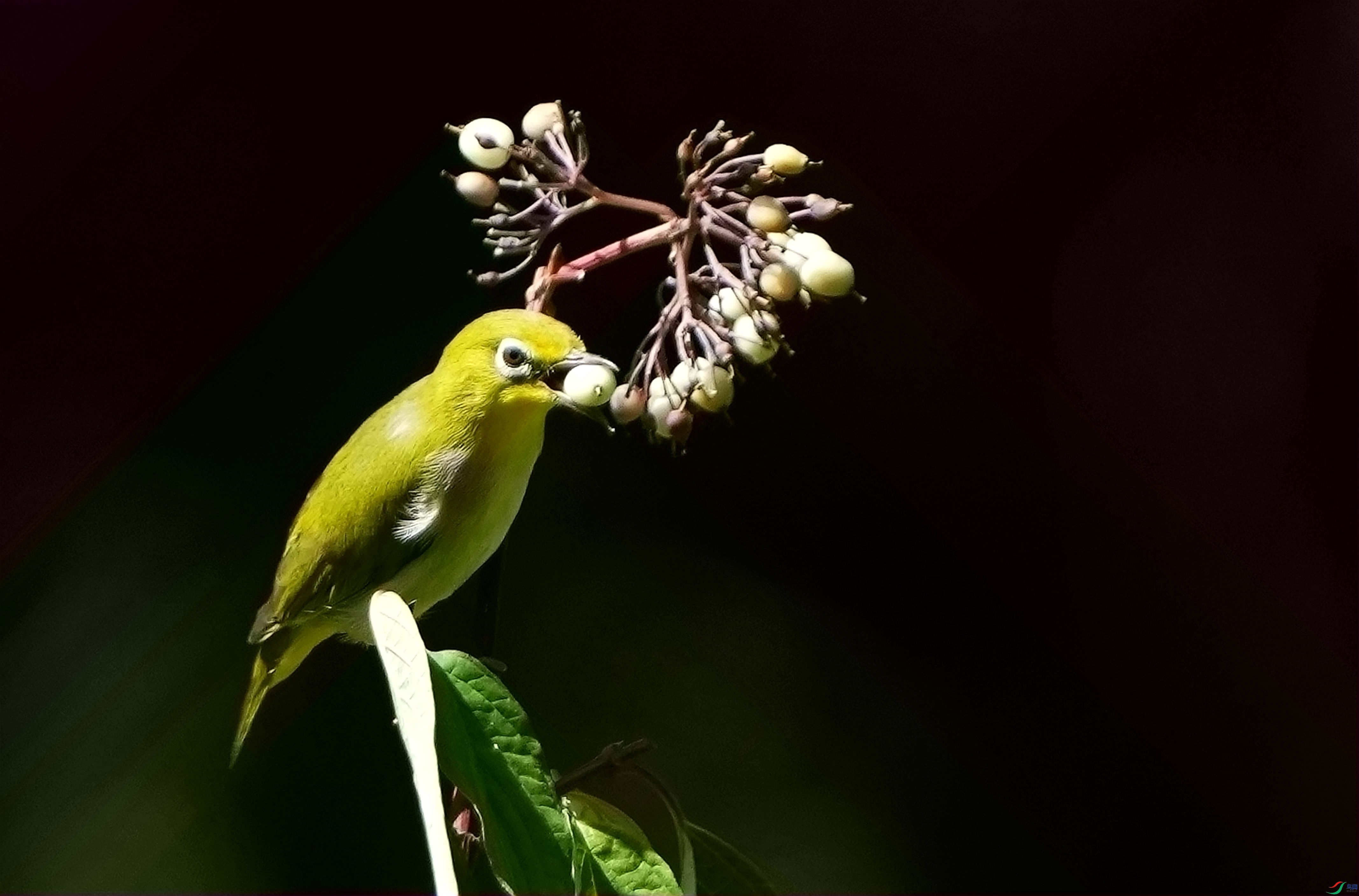 ����ʱ��DSC01710_����.jpg